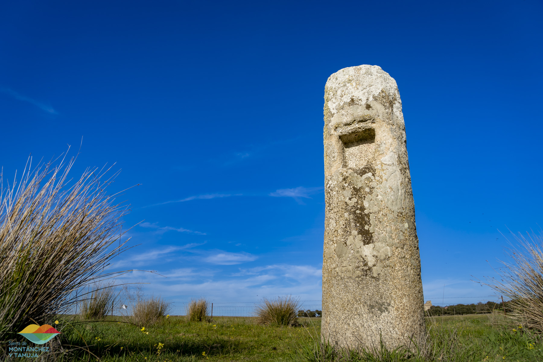 casas de don antonio