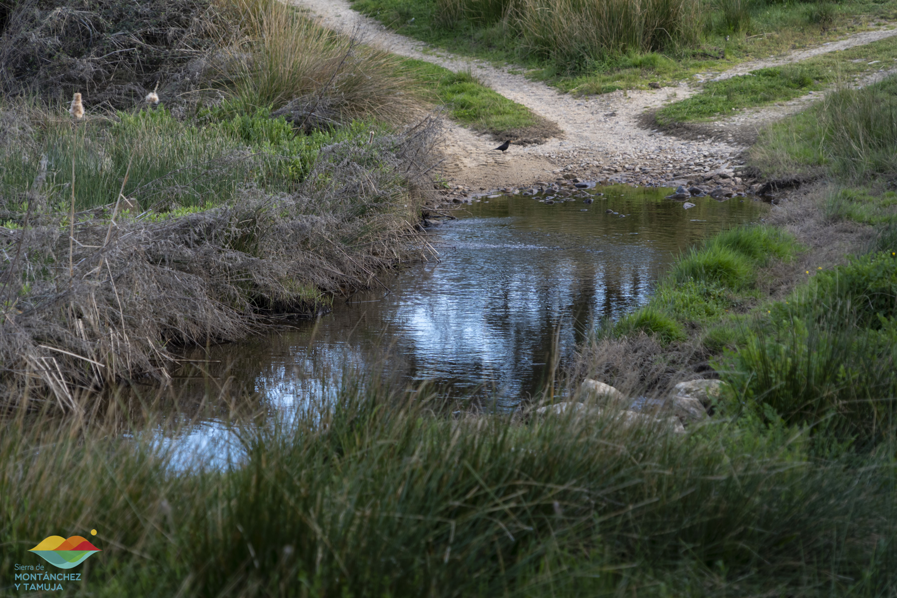 casas de don antonio