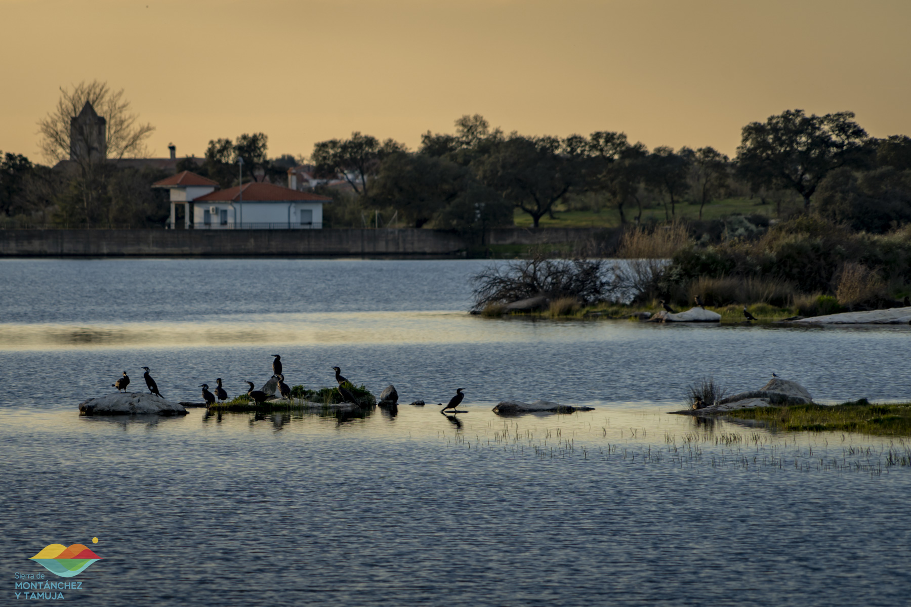casas de don antonio
