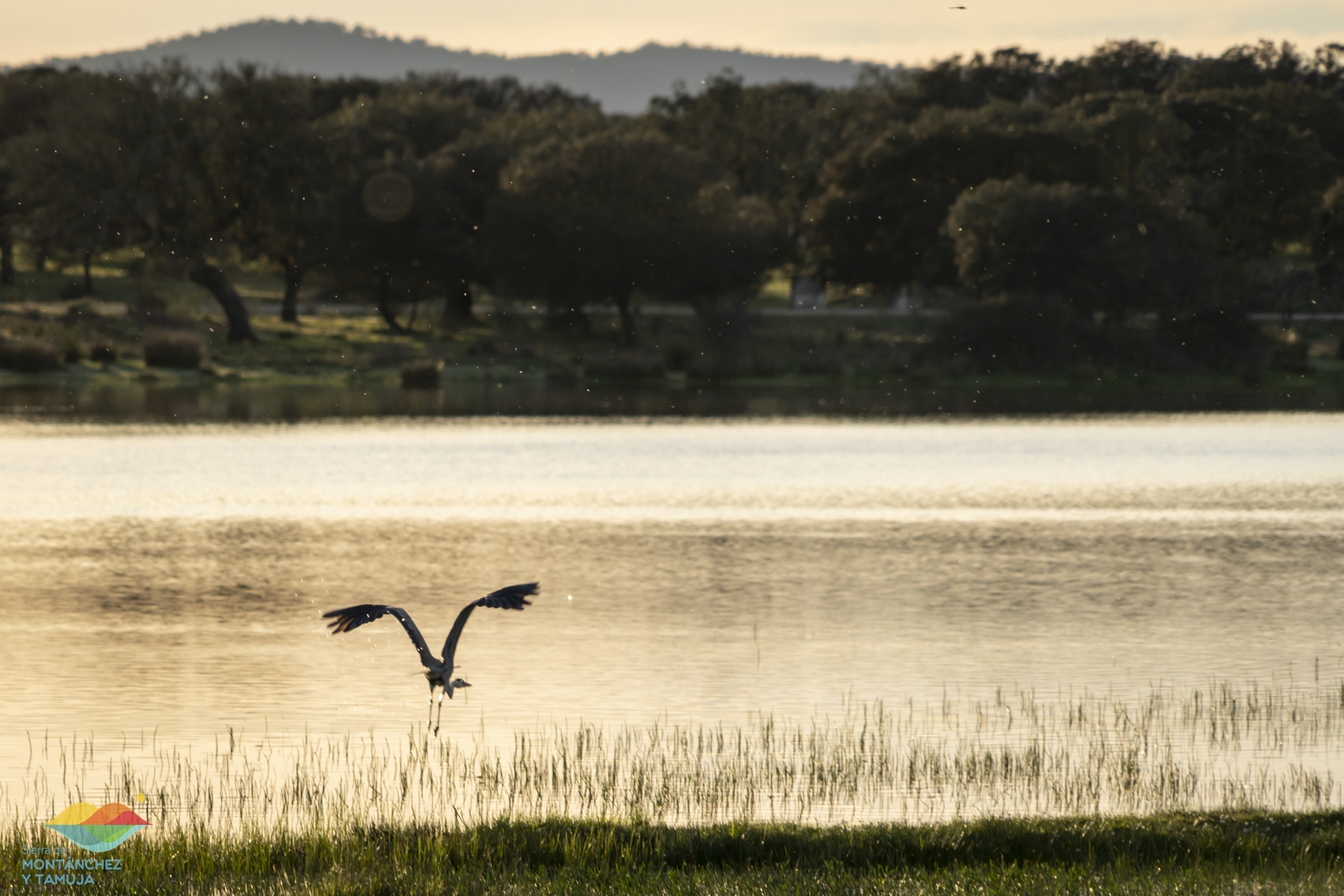 casas de don antonio