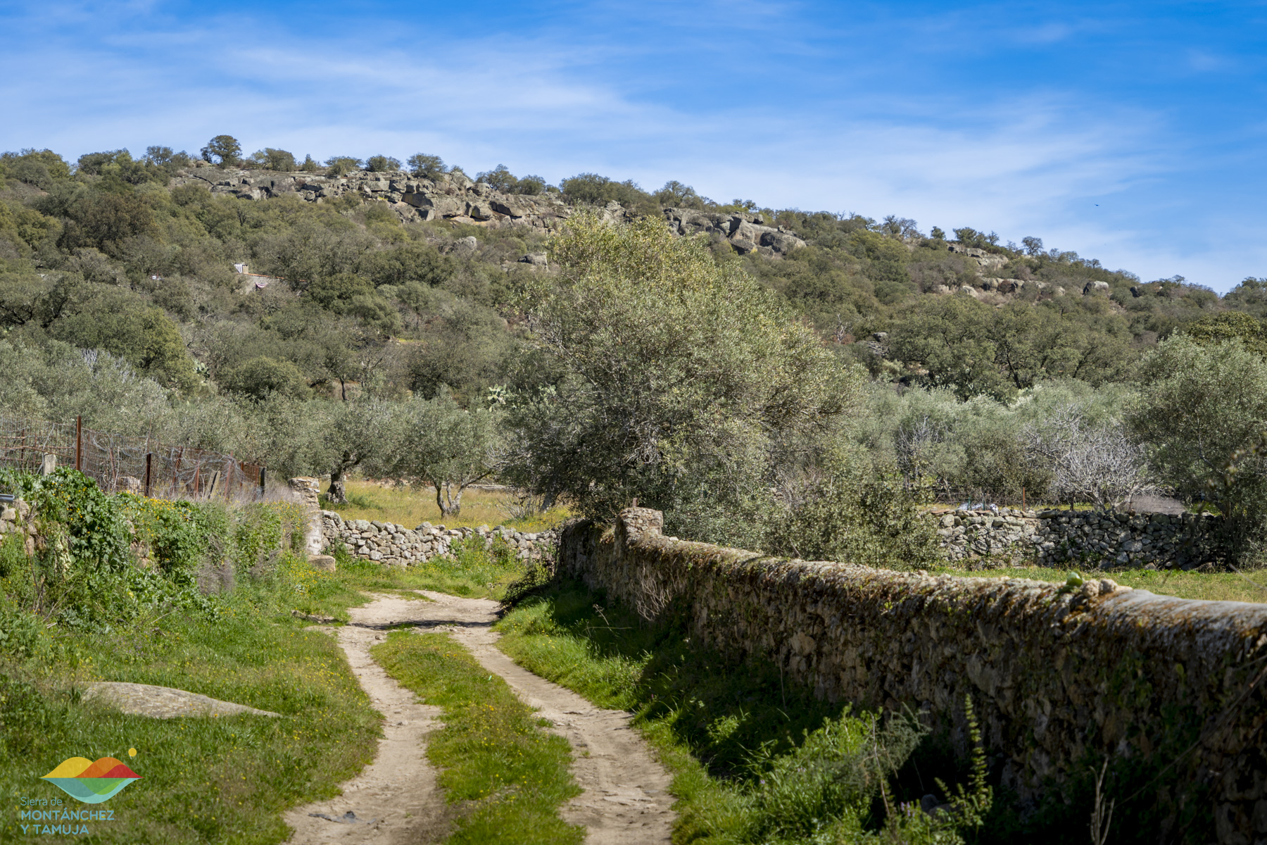 montanchez plasenzuela ruanes