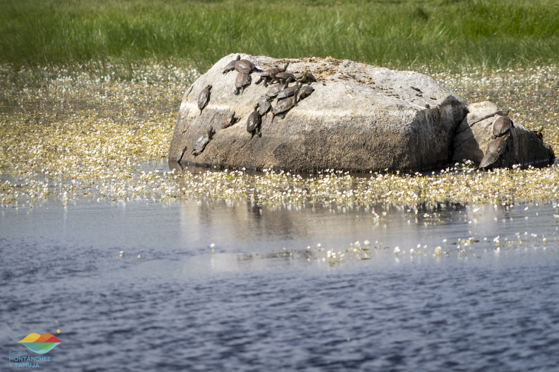 montanchez plasenzuela ruanes
