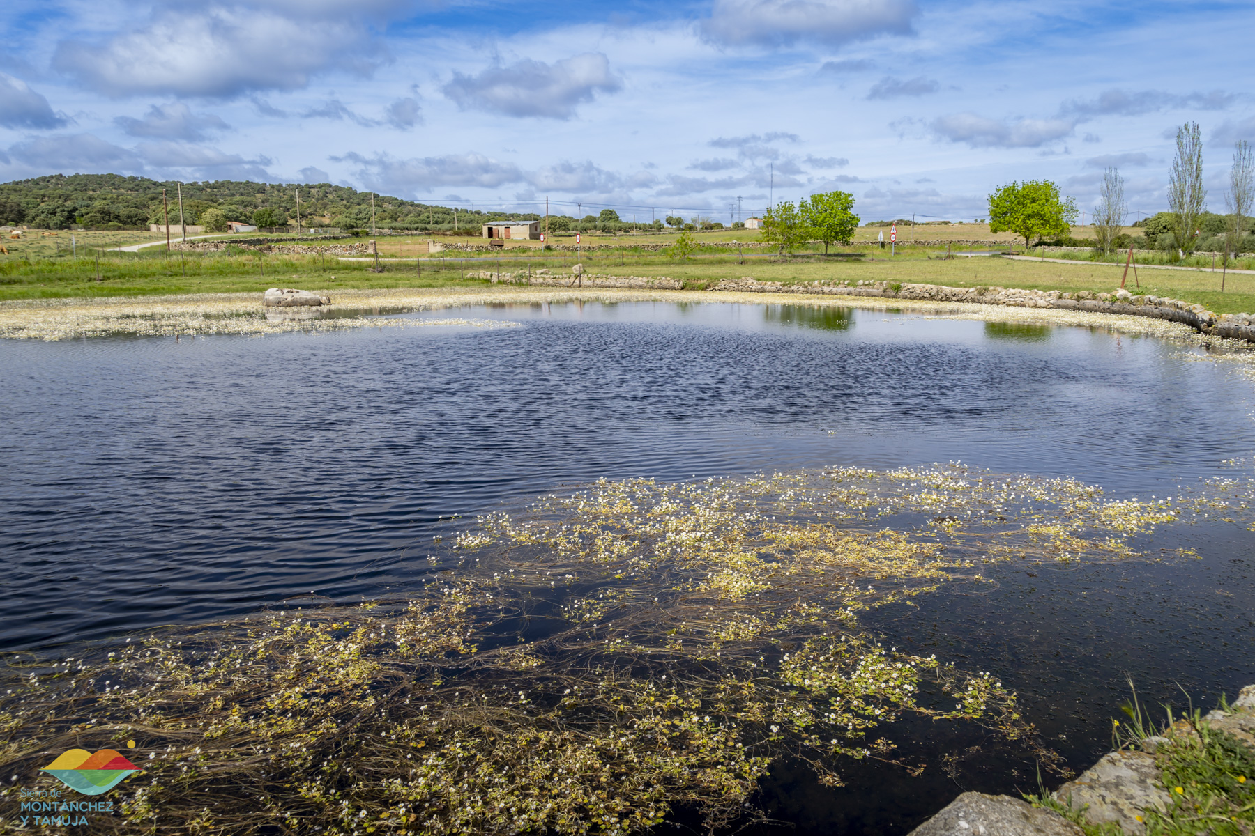 montanchez plasenzuela ruanes