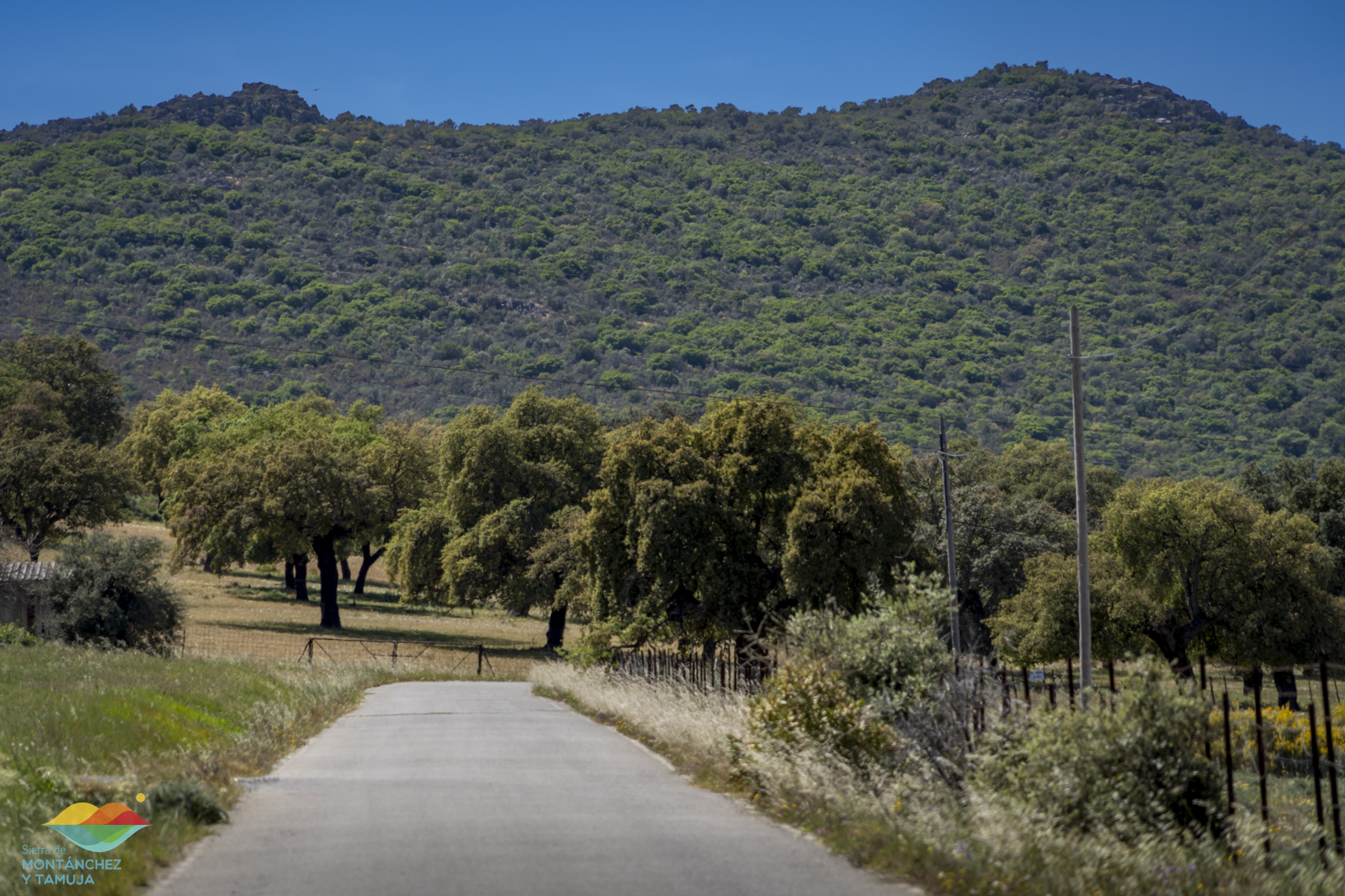sierrafuentes torresmaria torremocha