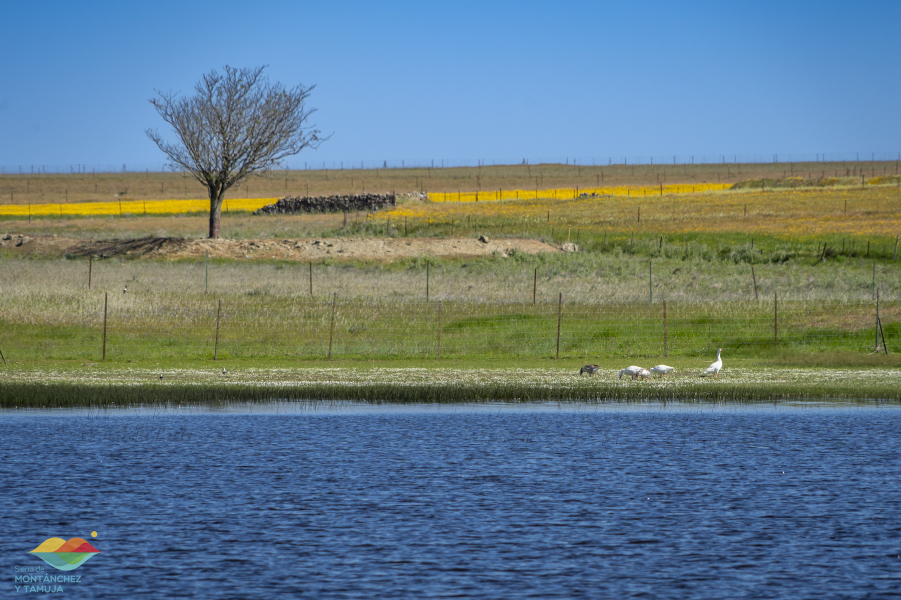 torreorgaz torrequemada valdefuentes valdemorales zarza