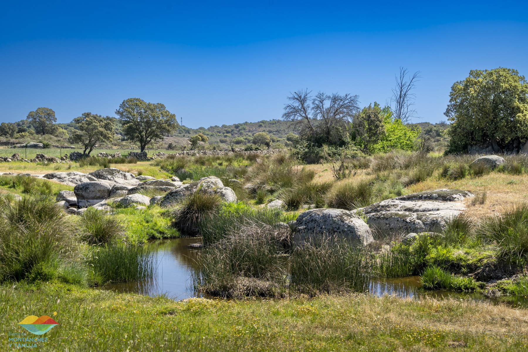 torreorgaz torrequemada valdefuentes valdemorales zarza
