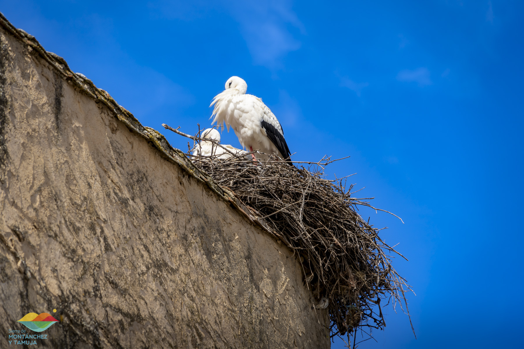 torreorgaz torrequemada valdefuentes valdemorales zarza