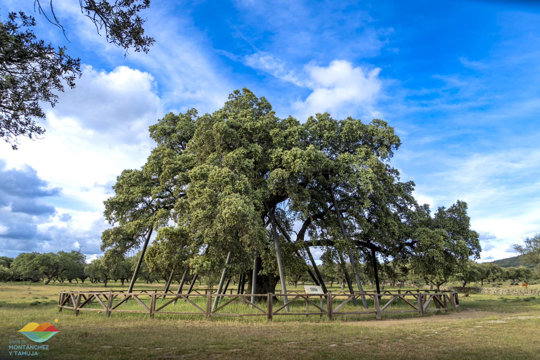 torreorgaz torrequemada valdefuentes valdemorales zarza