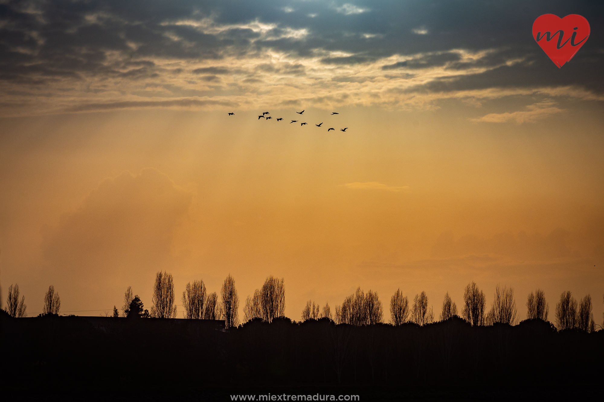 molinos-harineros-rio-guadiana