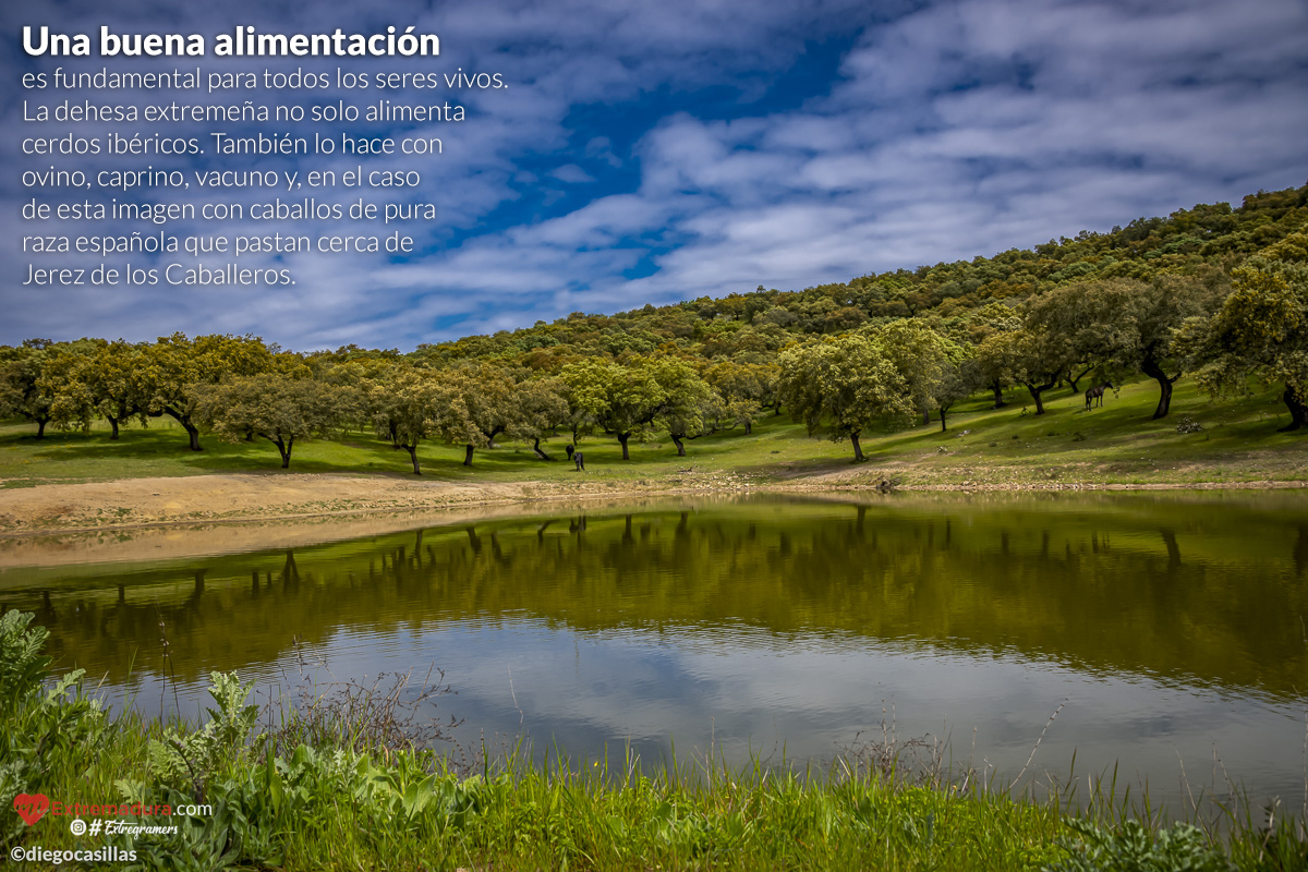 extremadura-es-natural-02