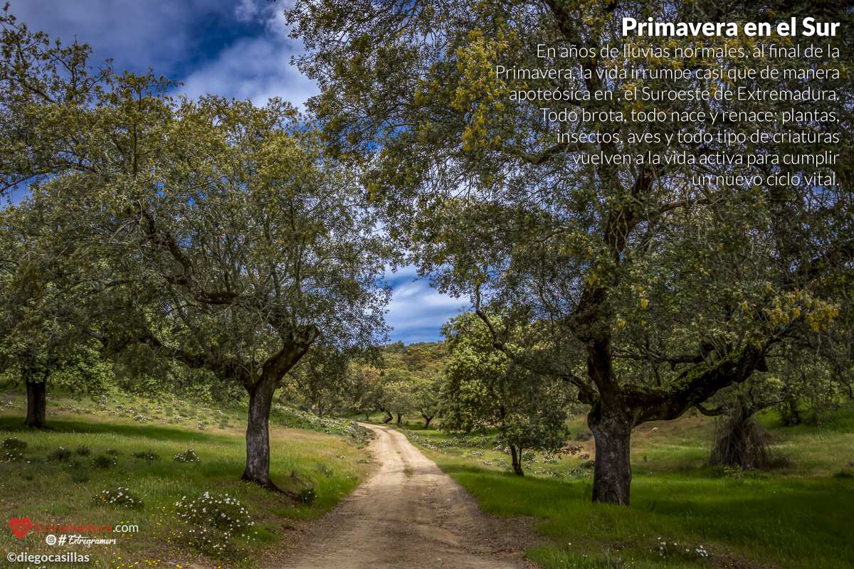 extremadura-es-natural-02