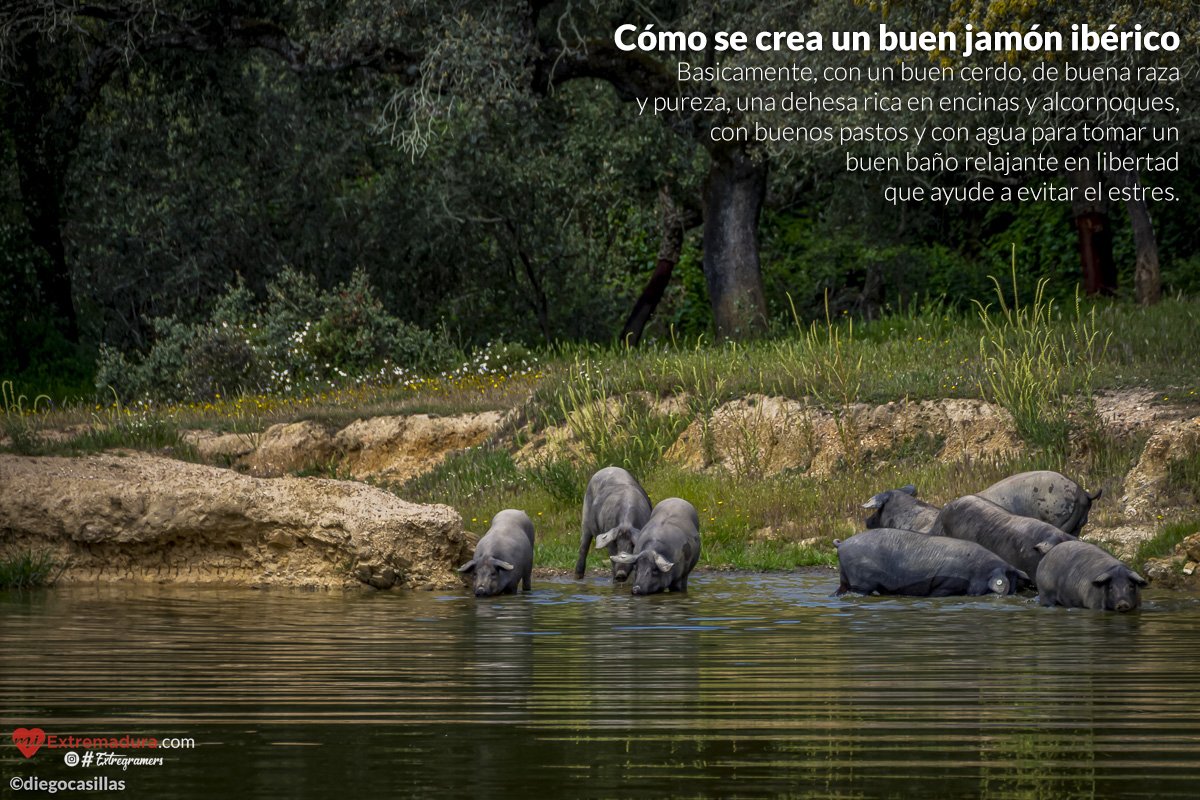 extremadura-es-natural-03