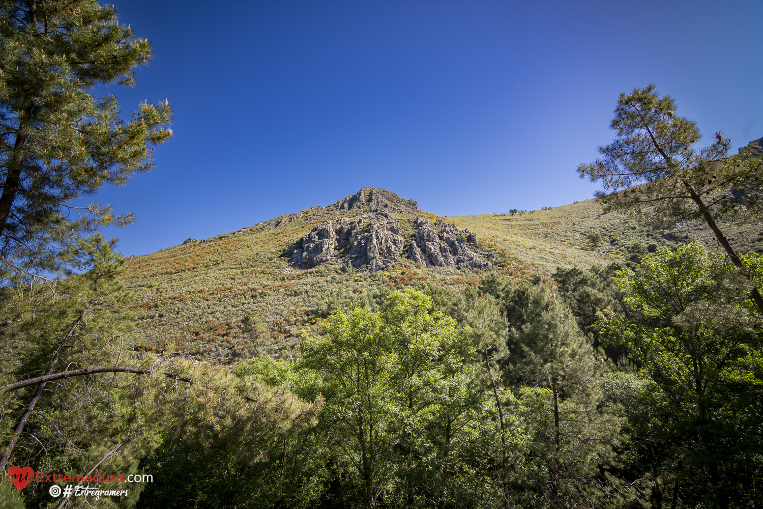 la-felicidad-de-la-tierra