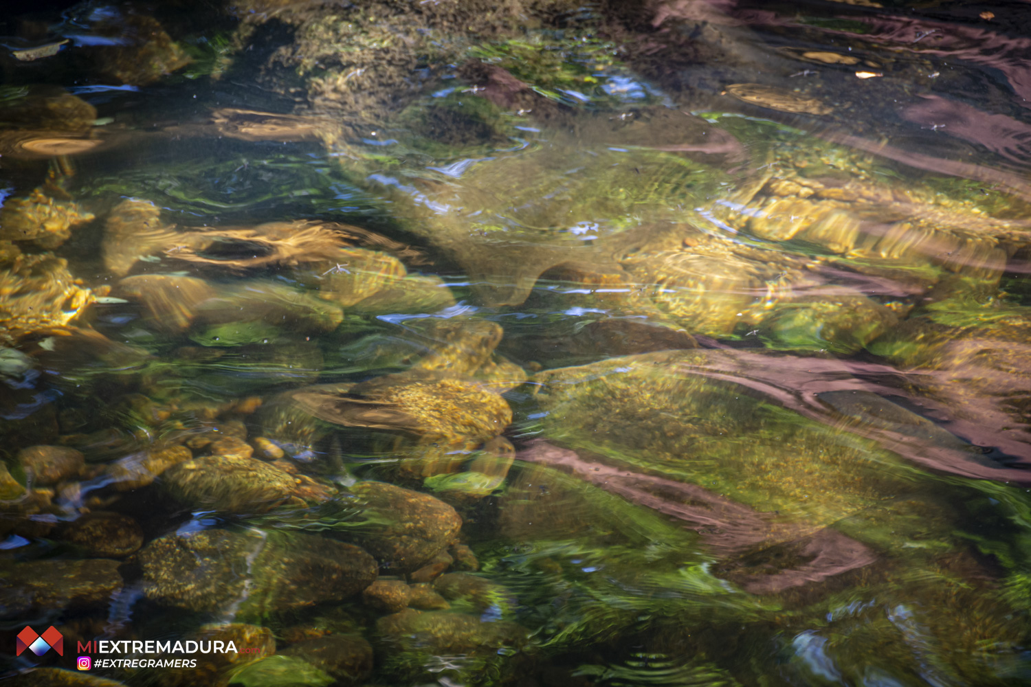 collado-de-la-vera-de-las-pilas