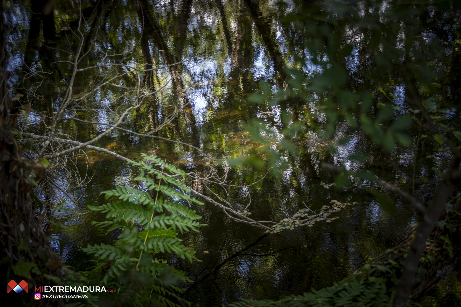 collado-de-la-vera-de-las-pilas