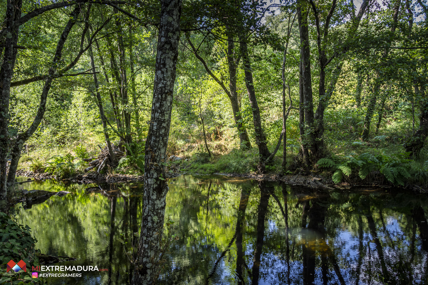 collado-de-la-vera-de-las-pilas