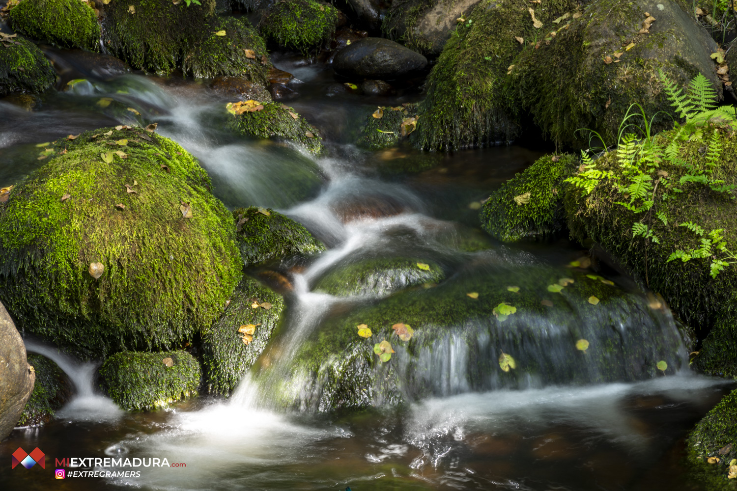 collado-de-la-vera-de-las-pilas