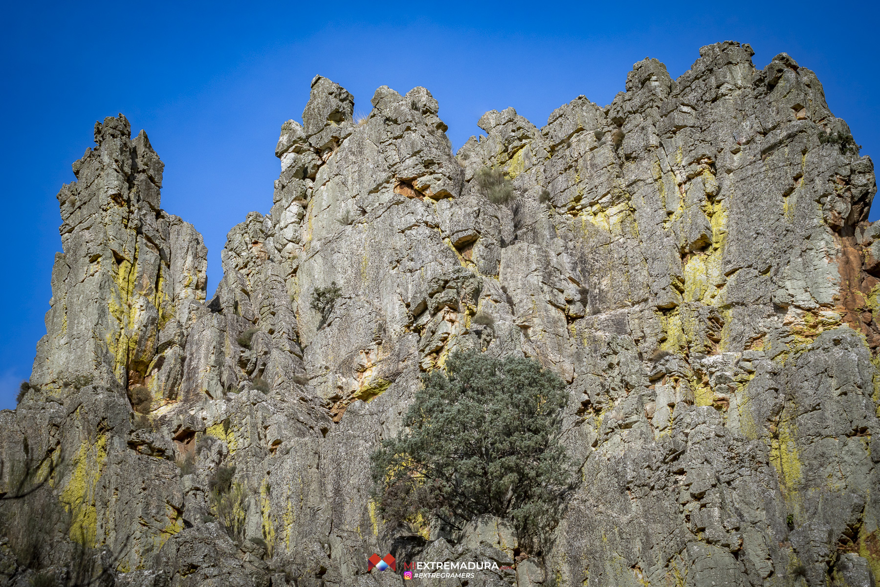 apreturas-del-almonte