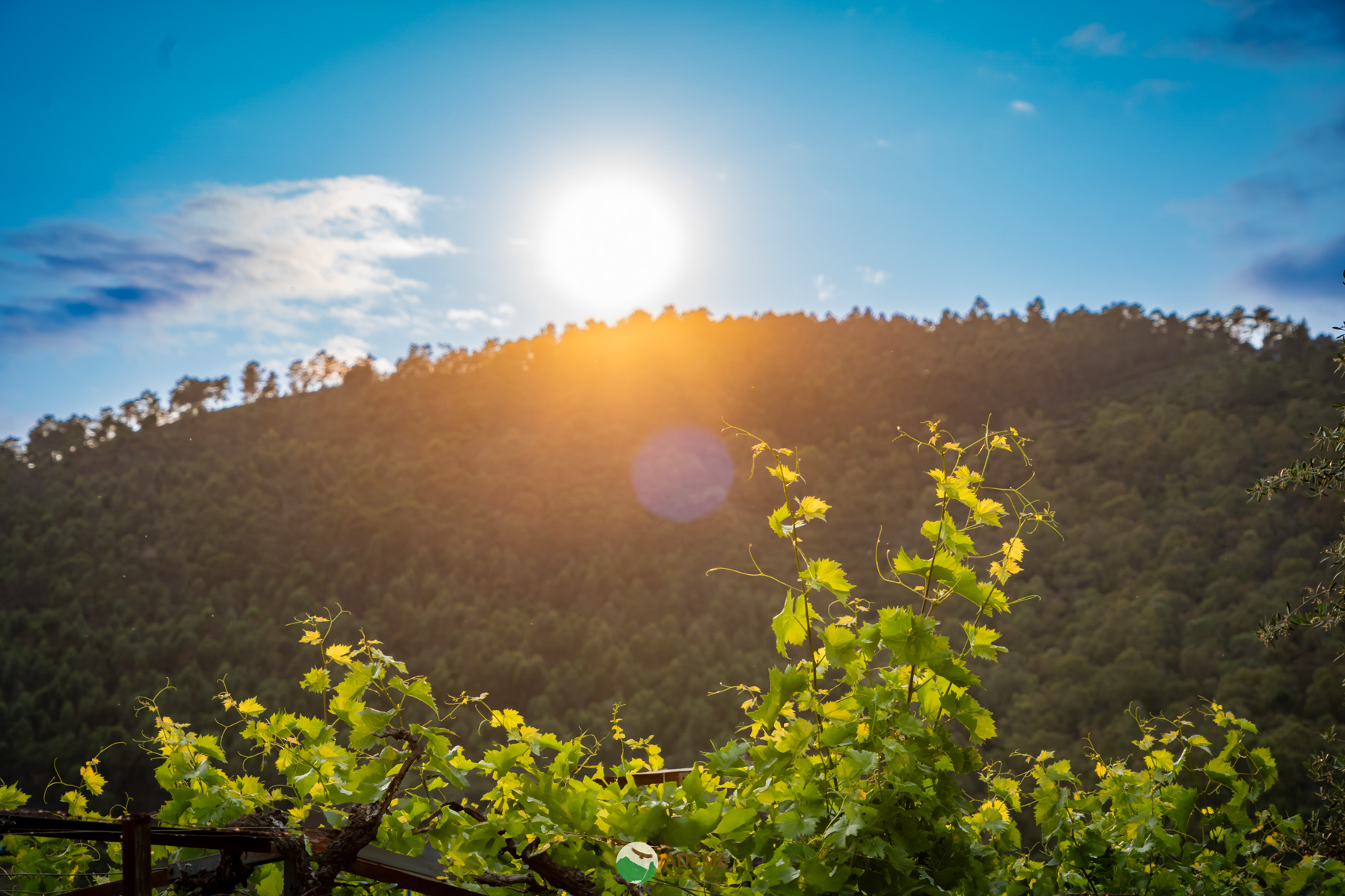 cultura y patrimonio monfrague y entorno