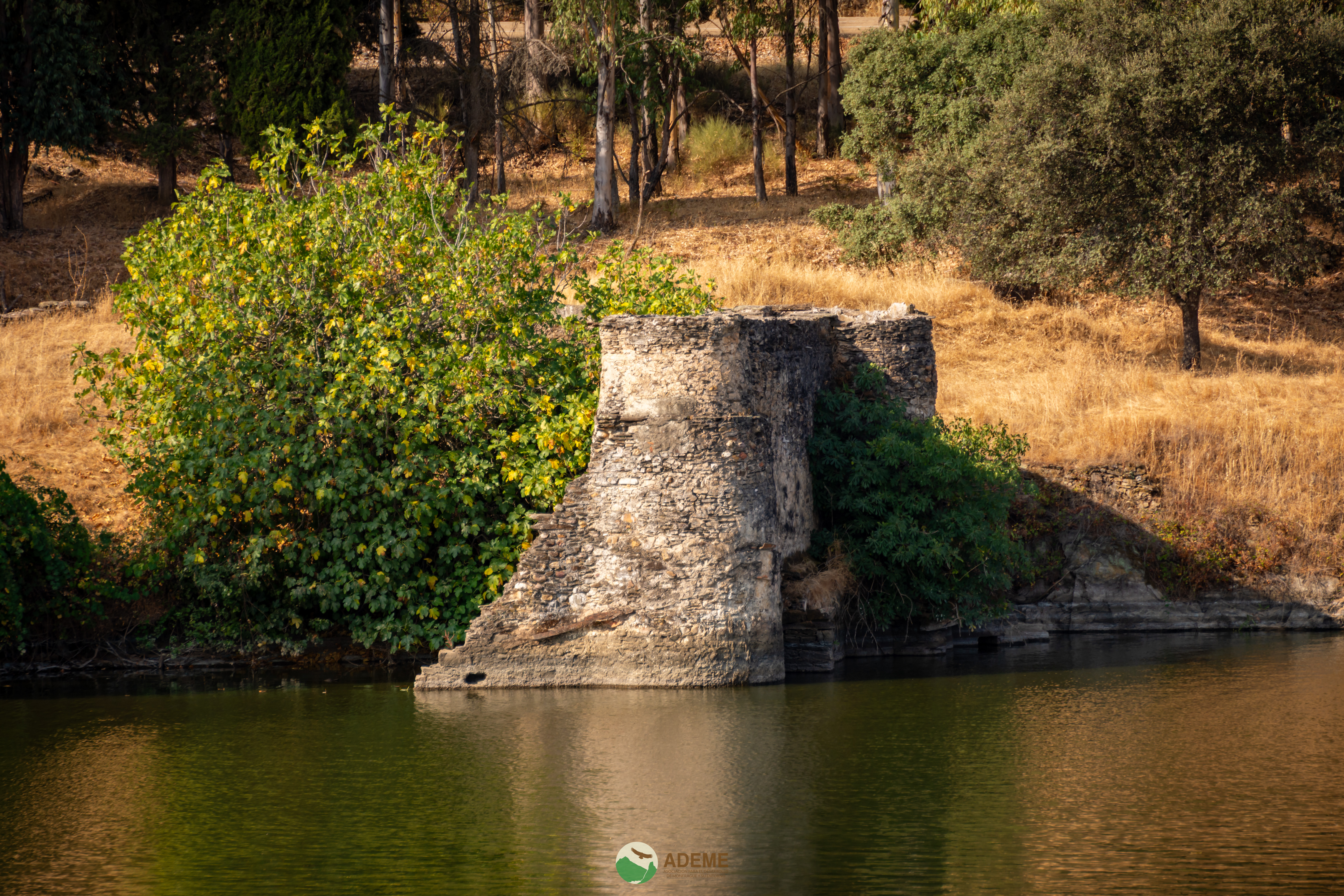 cultura y patrimonio