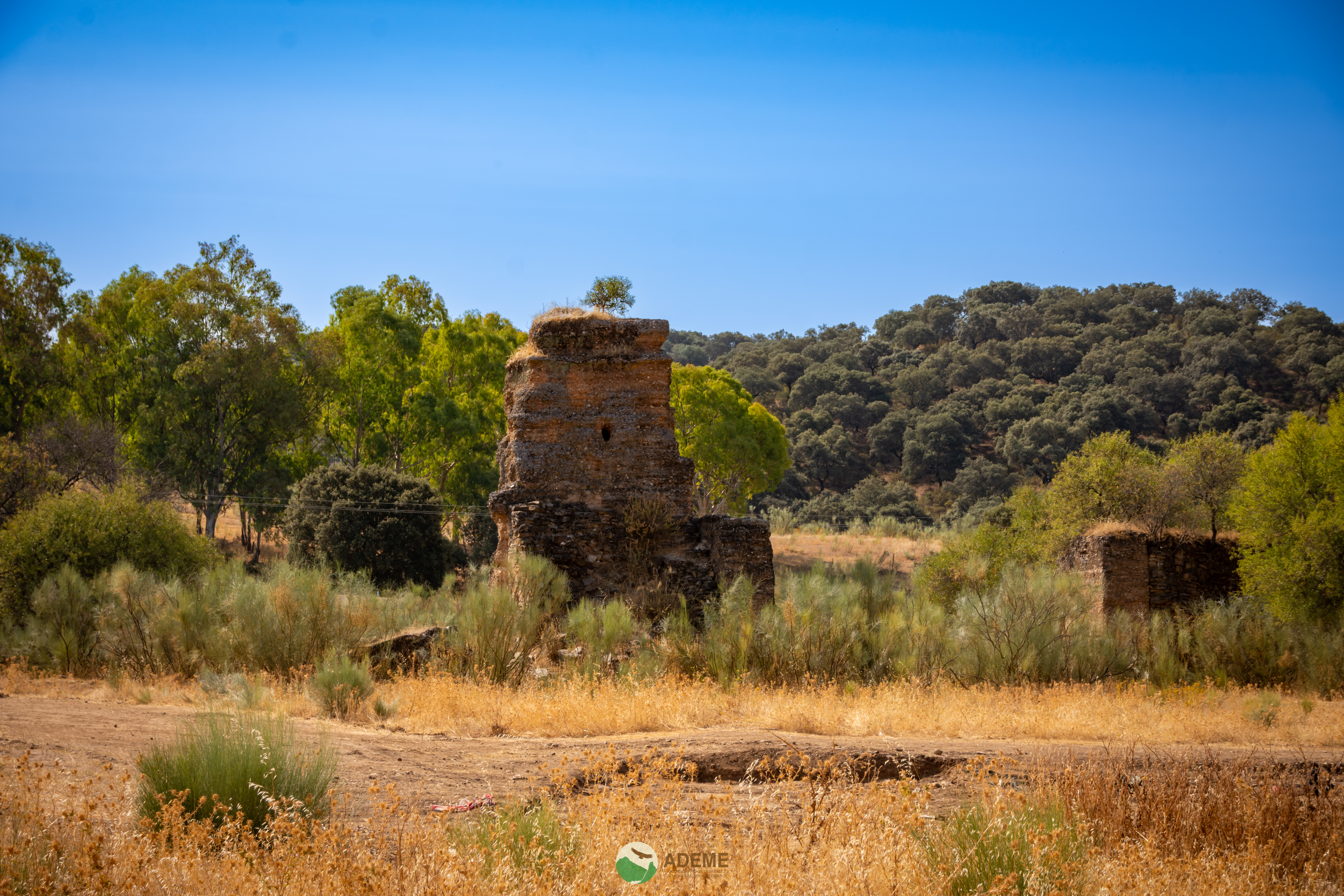 cultura y patrimonio