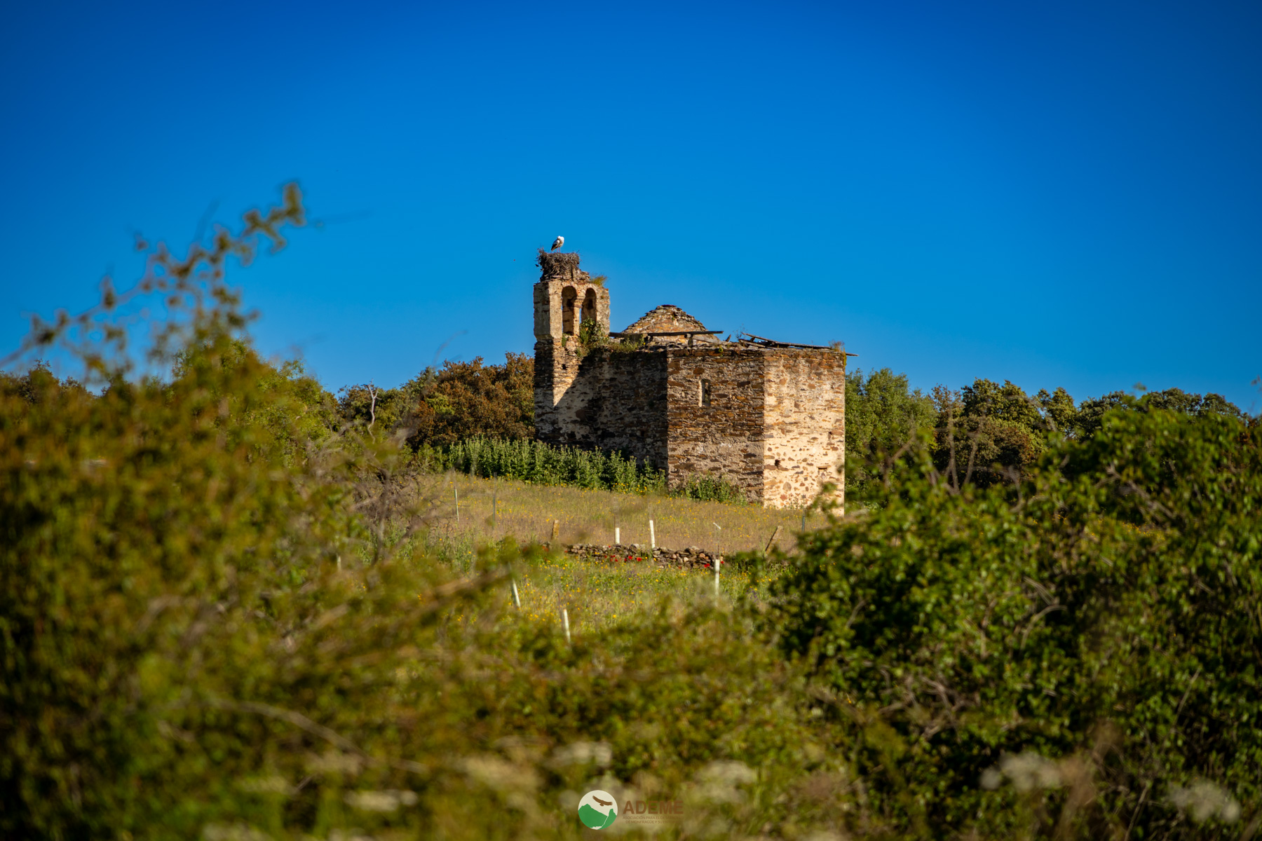 cultura y patrimonio monfrague y entorno