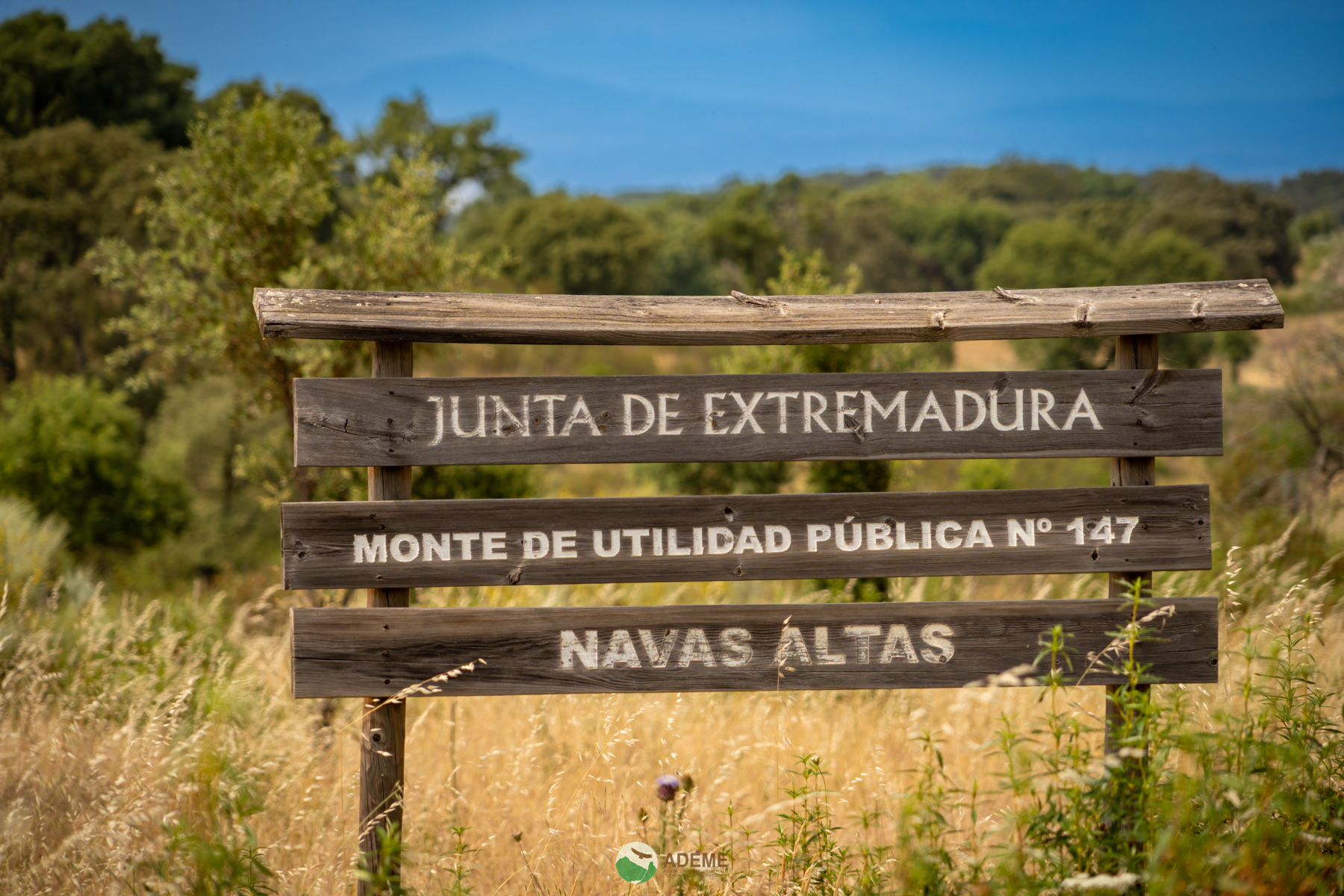 Naturaleza y Turismo de Estrellas