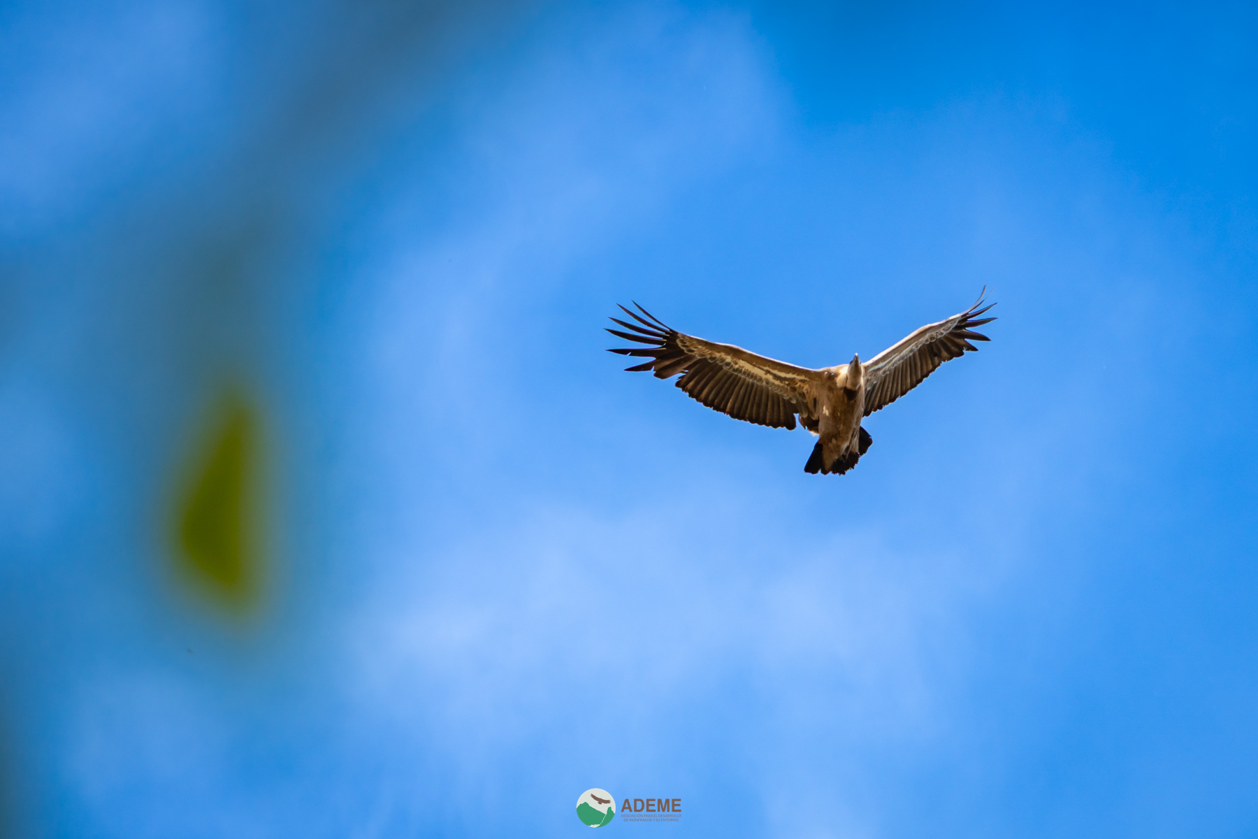 Naturaleza y Turismo de Estrellas