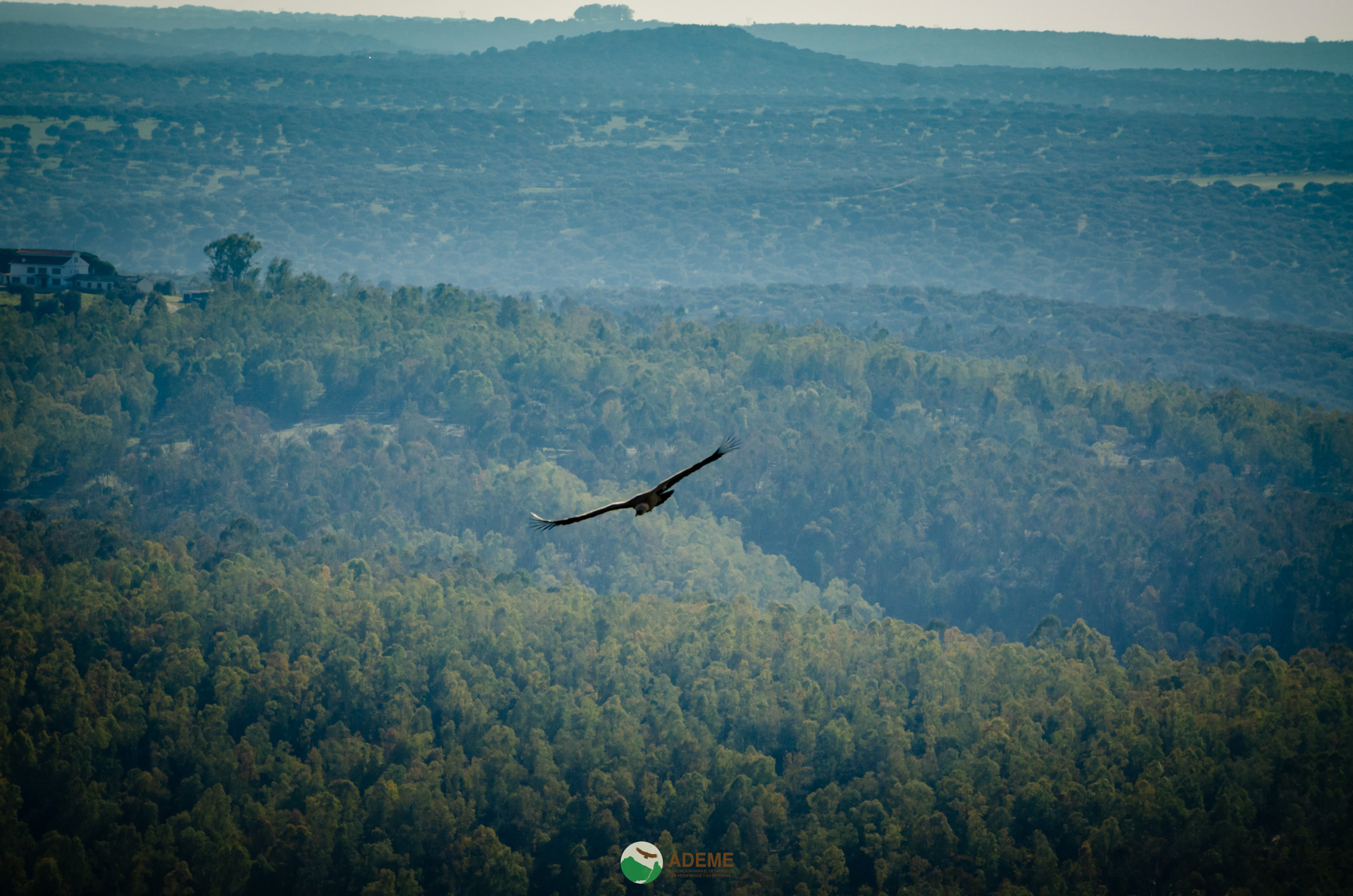 Naturaleza y Turismo de Estrellas