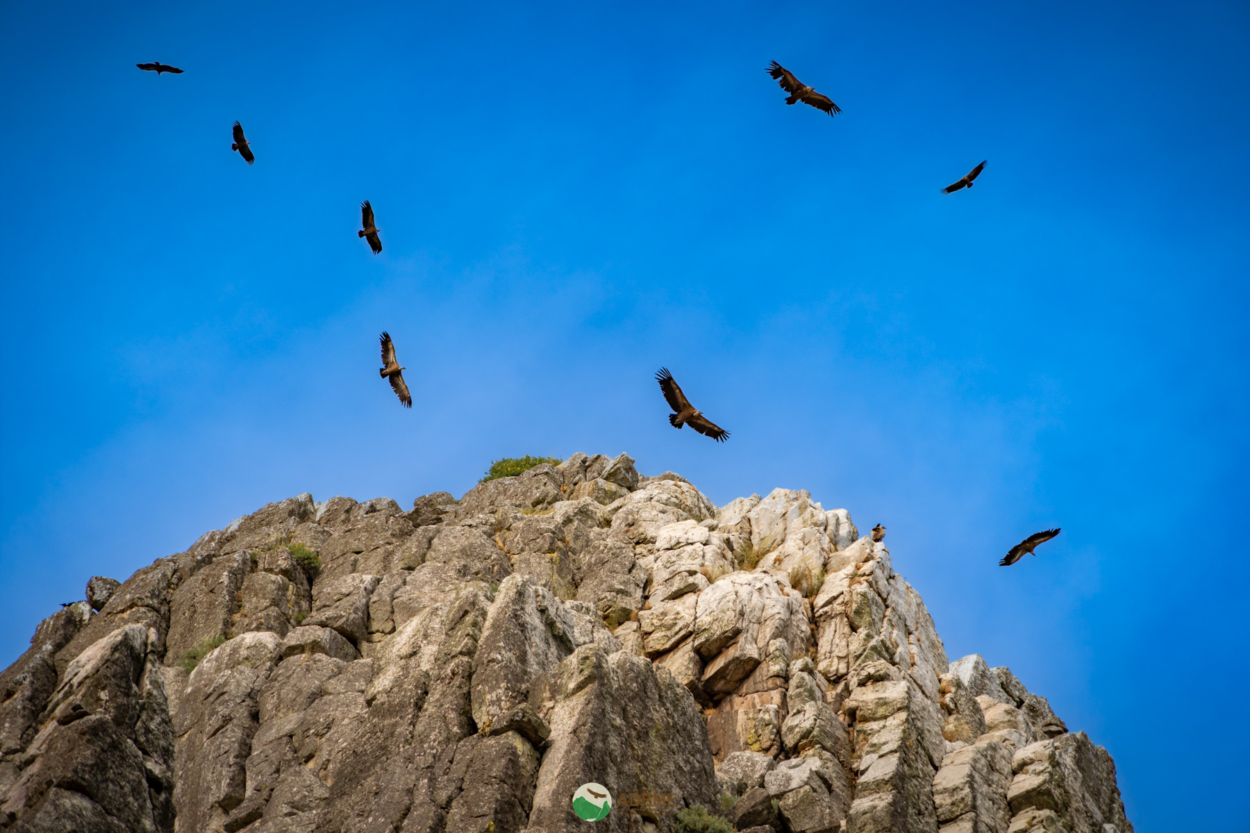 Naturaleza y Turismo de Estrellas
