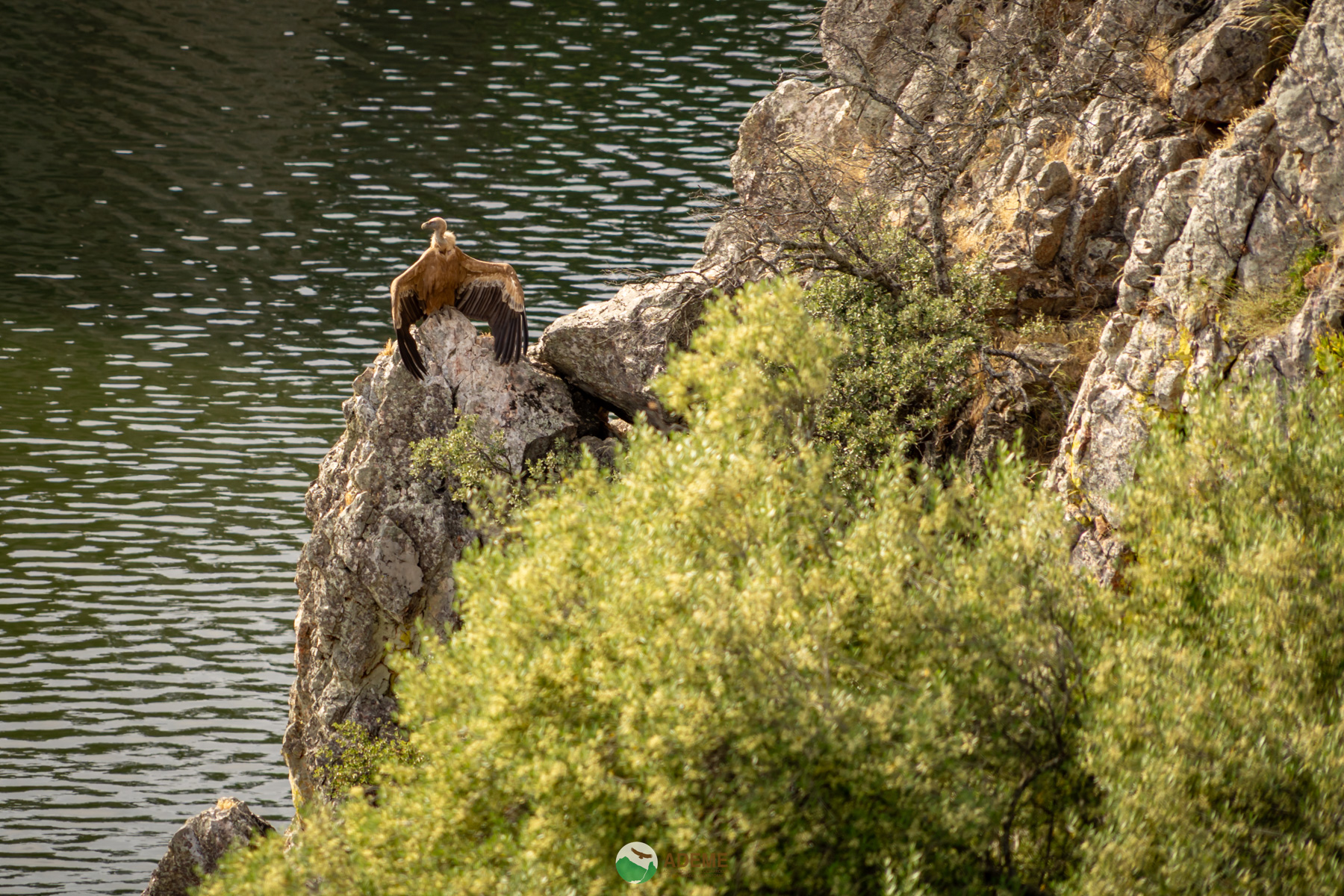 Naturaleza y Turismo de Estrellas