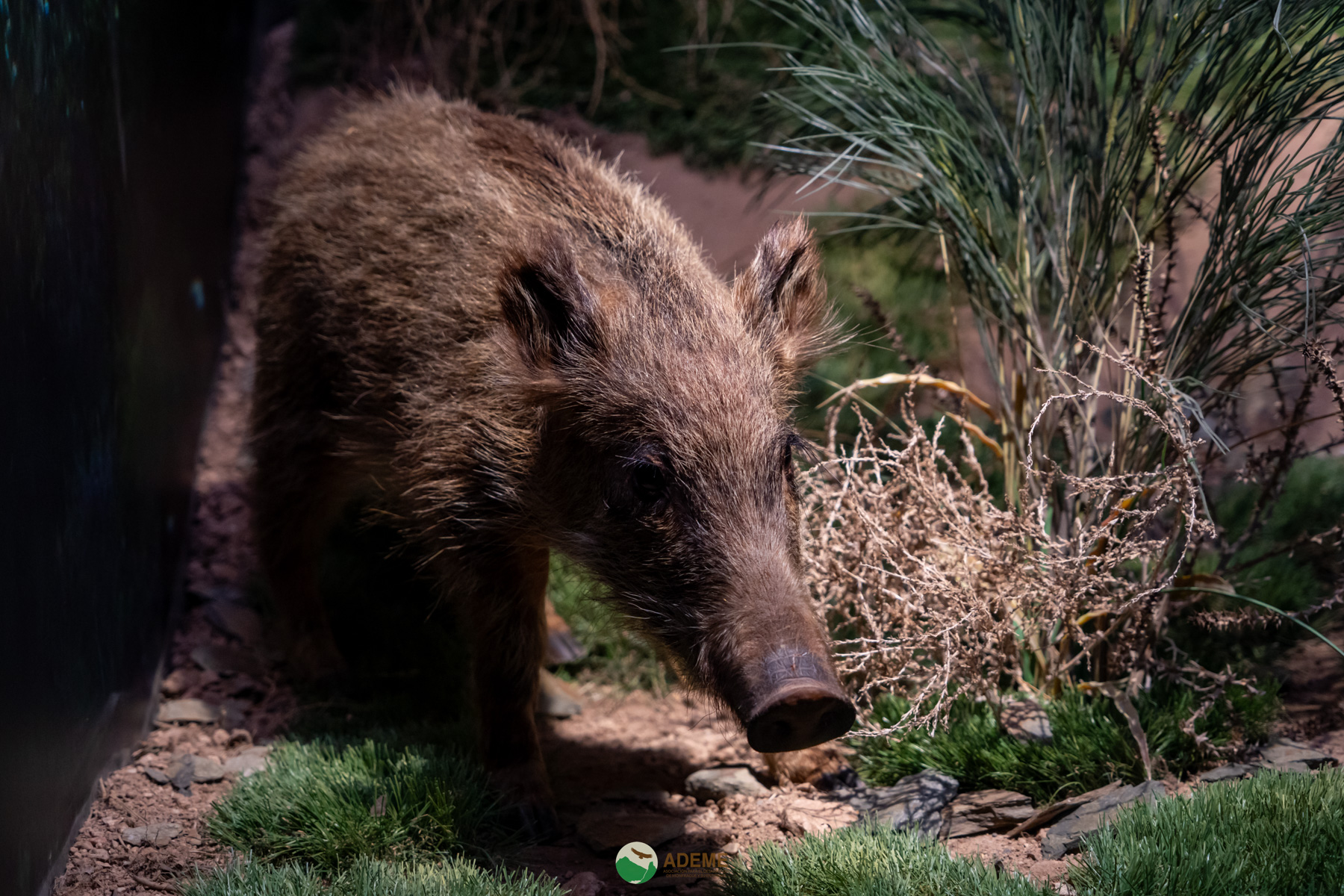 Naturaleza y Turismo de Estrellas