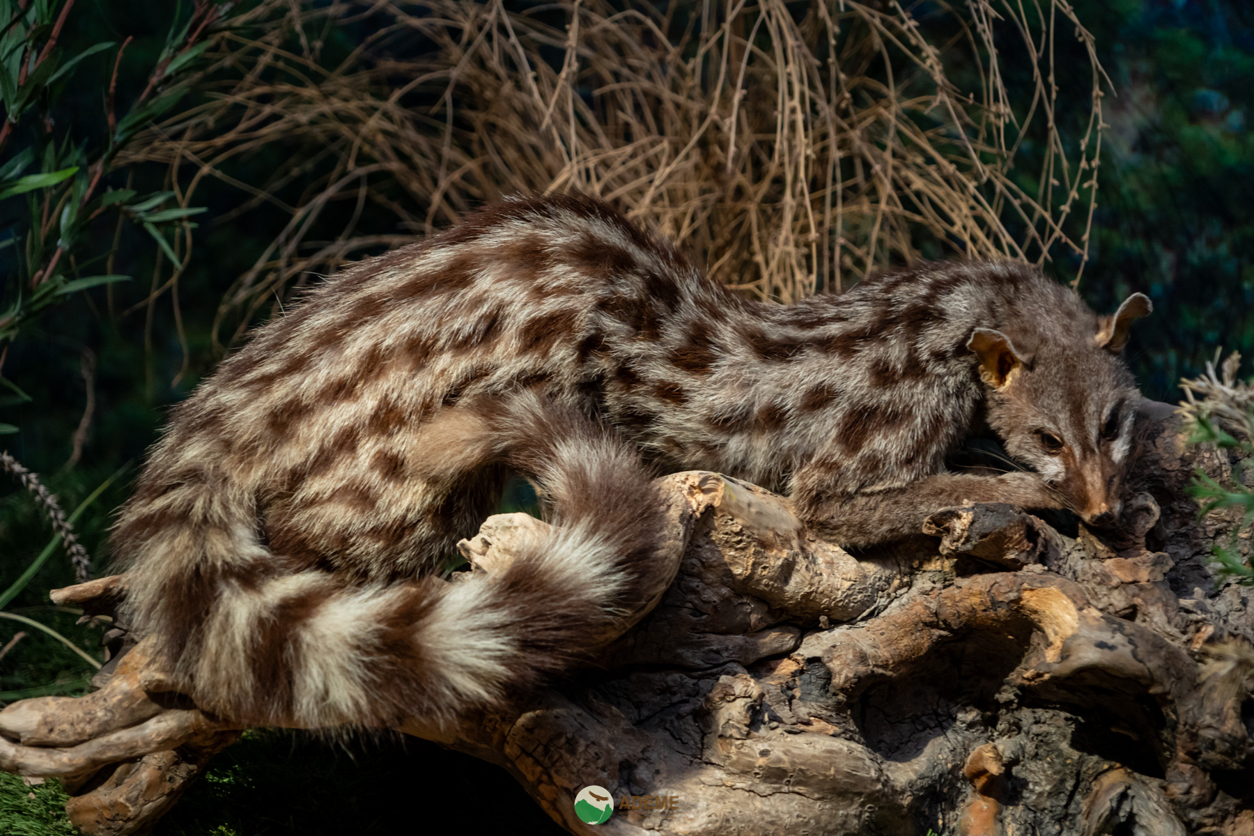 Naturaleza y Turismo de Estrellas