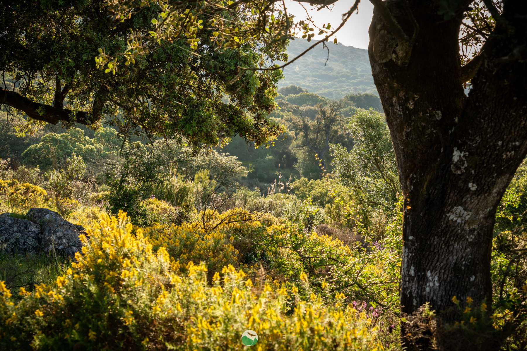 Naturaleza y Turismo de Estrellas