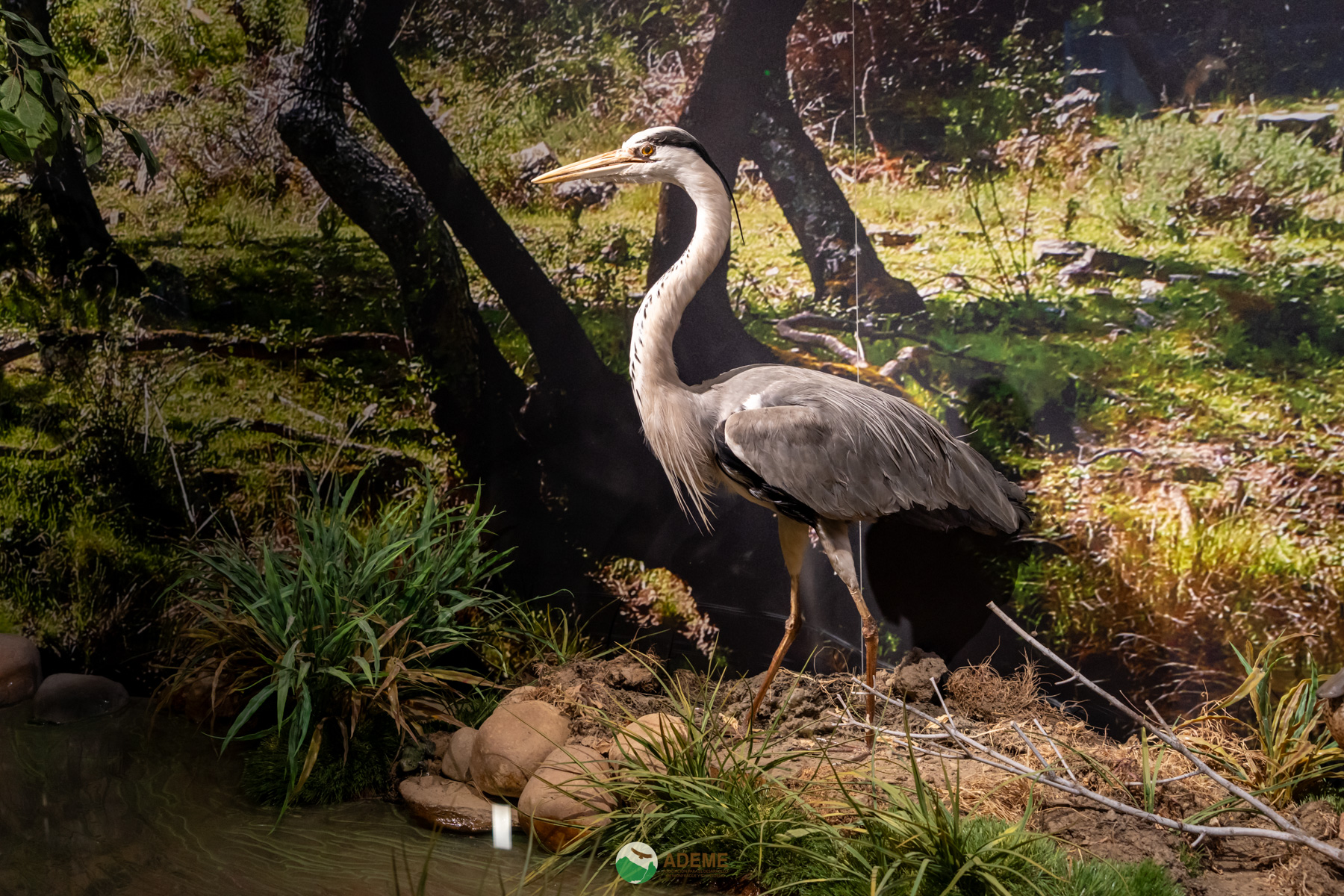 Naturaleza y Turismo de Estrellas