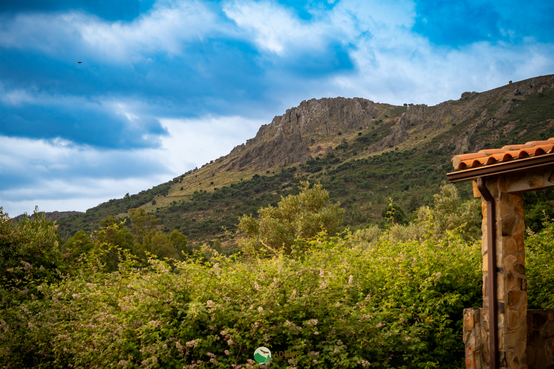 Naturaleza y Turismo de Estrellas