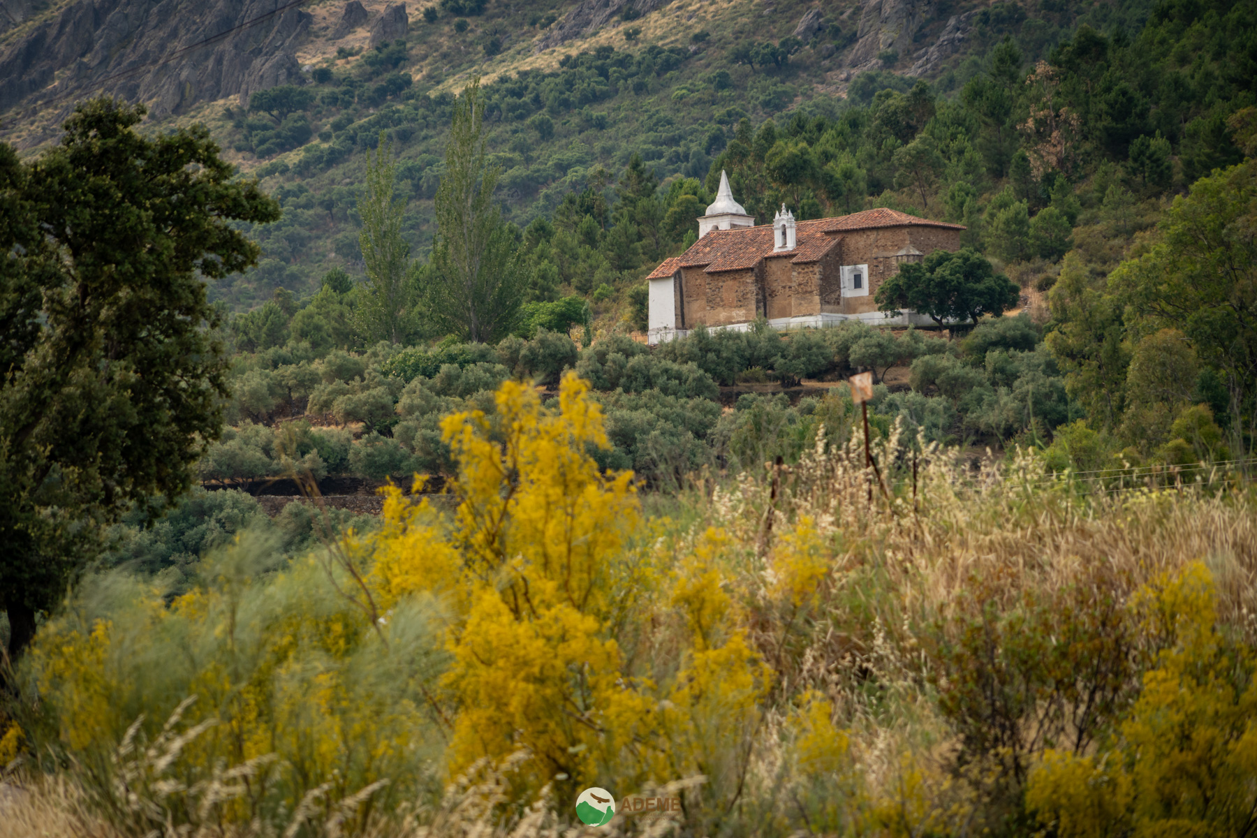 Naturaleza y Turismo de Estrellas