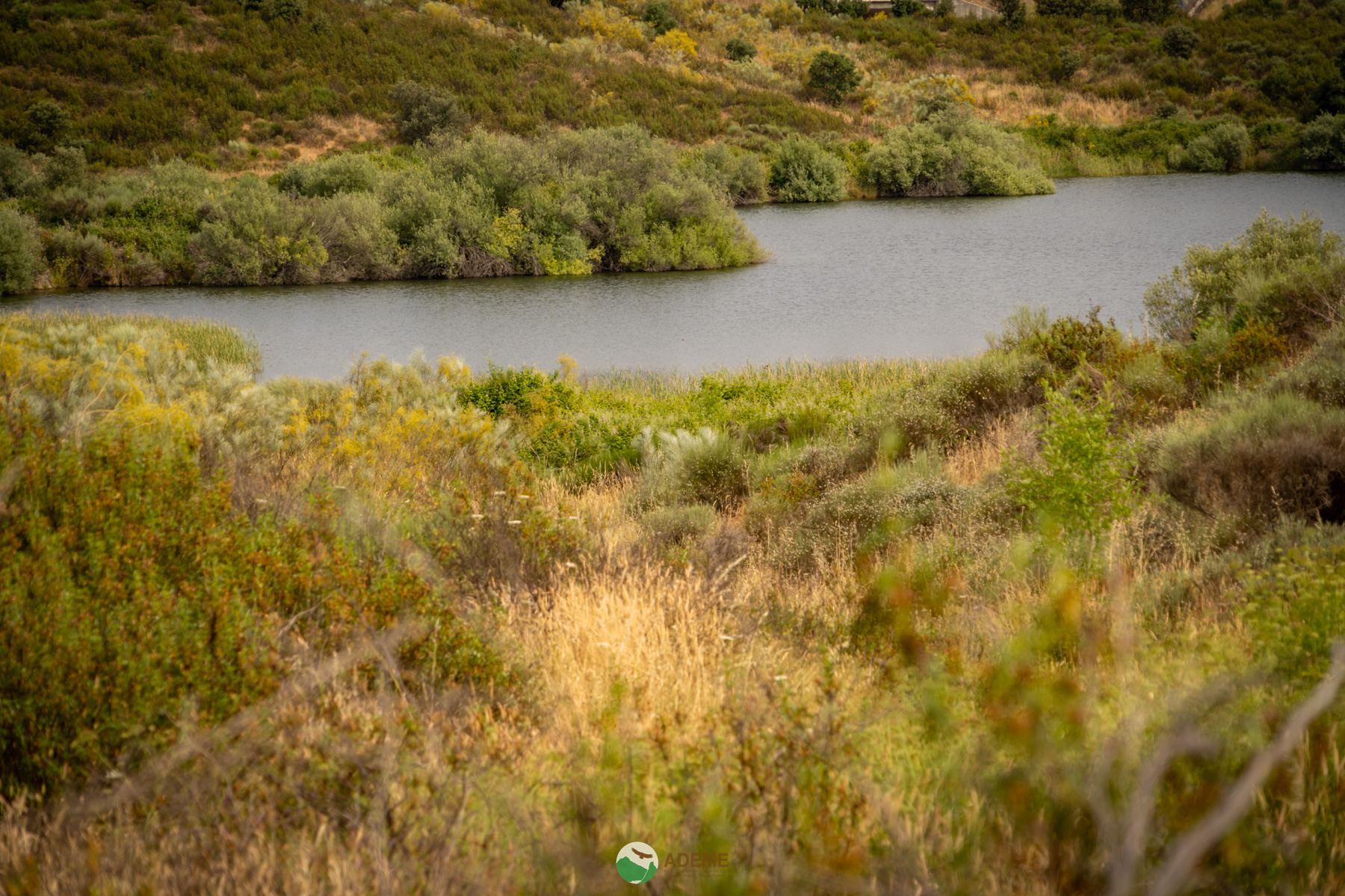 Naturaleza y Turismo de Estrellas