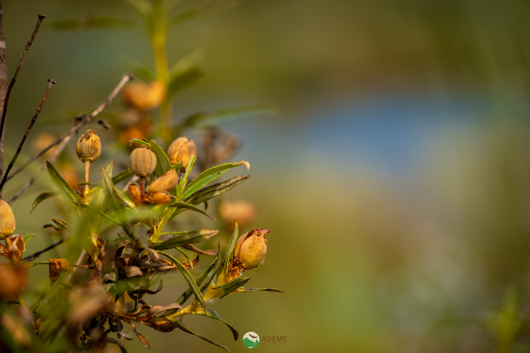Naturaleza y Turismo de Estrellas