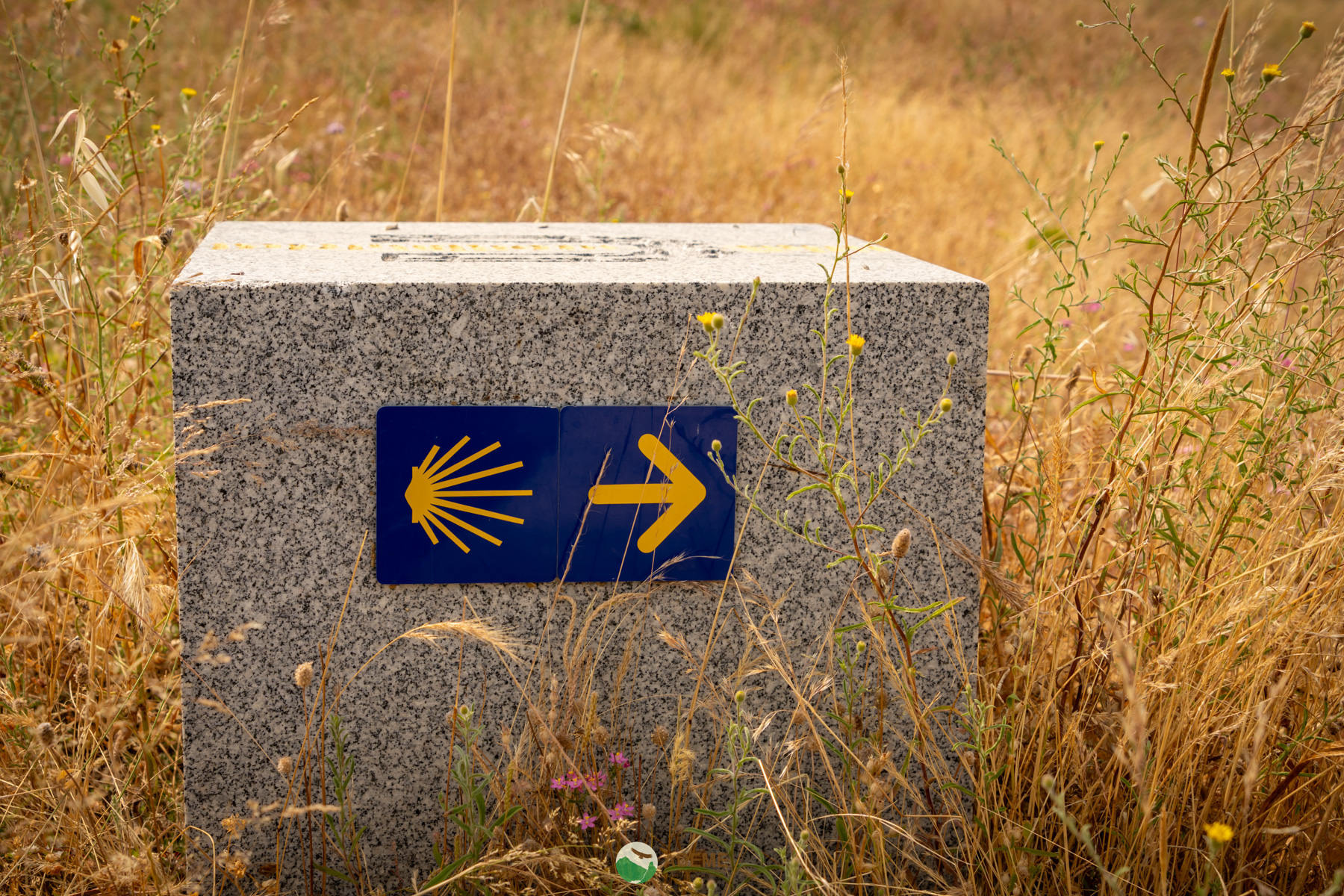 Naturaleza y Turismo de Estrellas