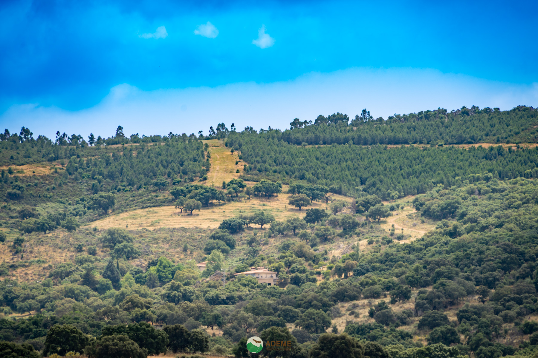 Naturaleza y Turismo de Estrellas