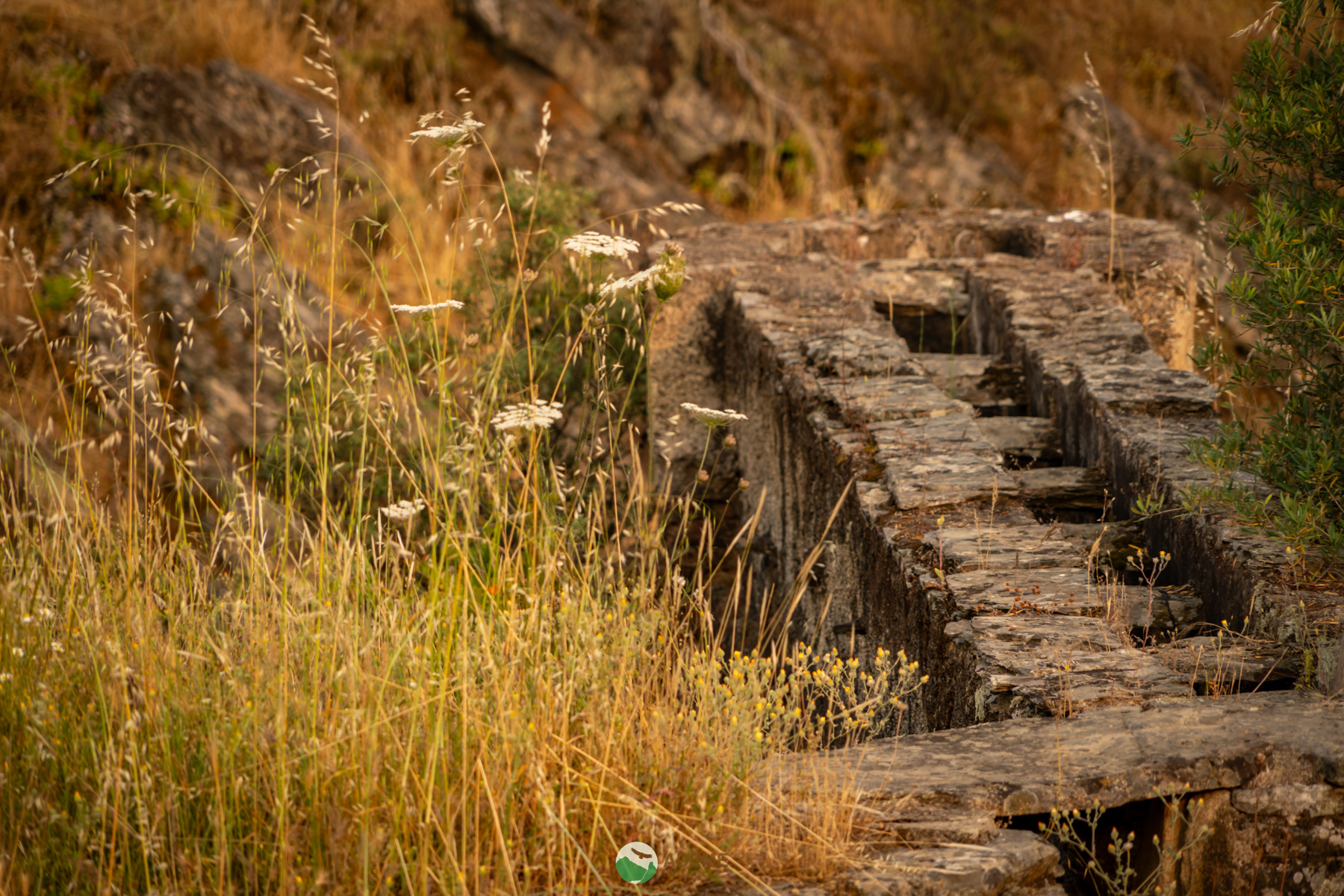 Naturaleza y Turismo de Estrellas