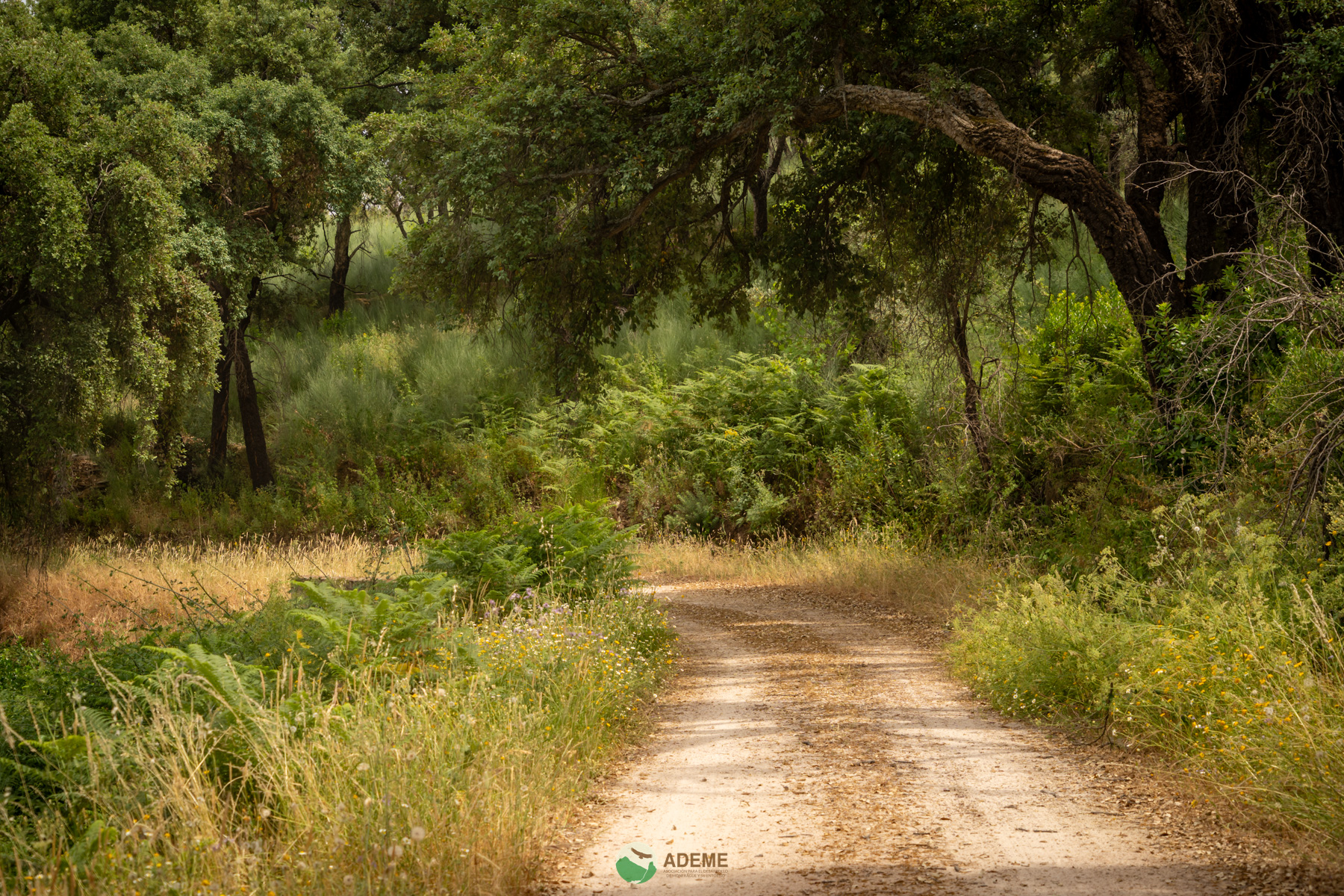 Naturaleza y Turismo de Estrellas