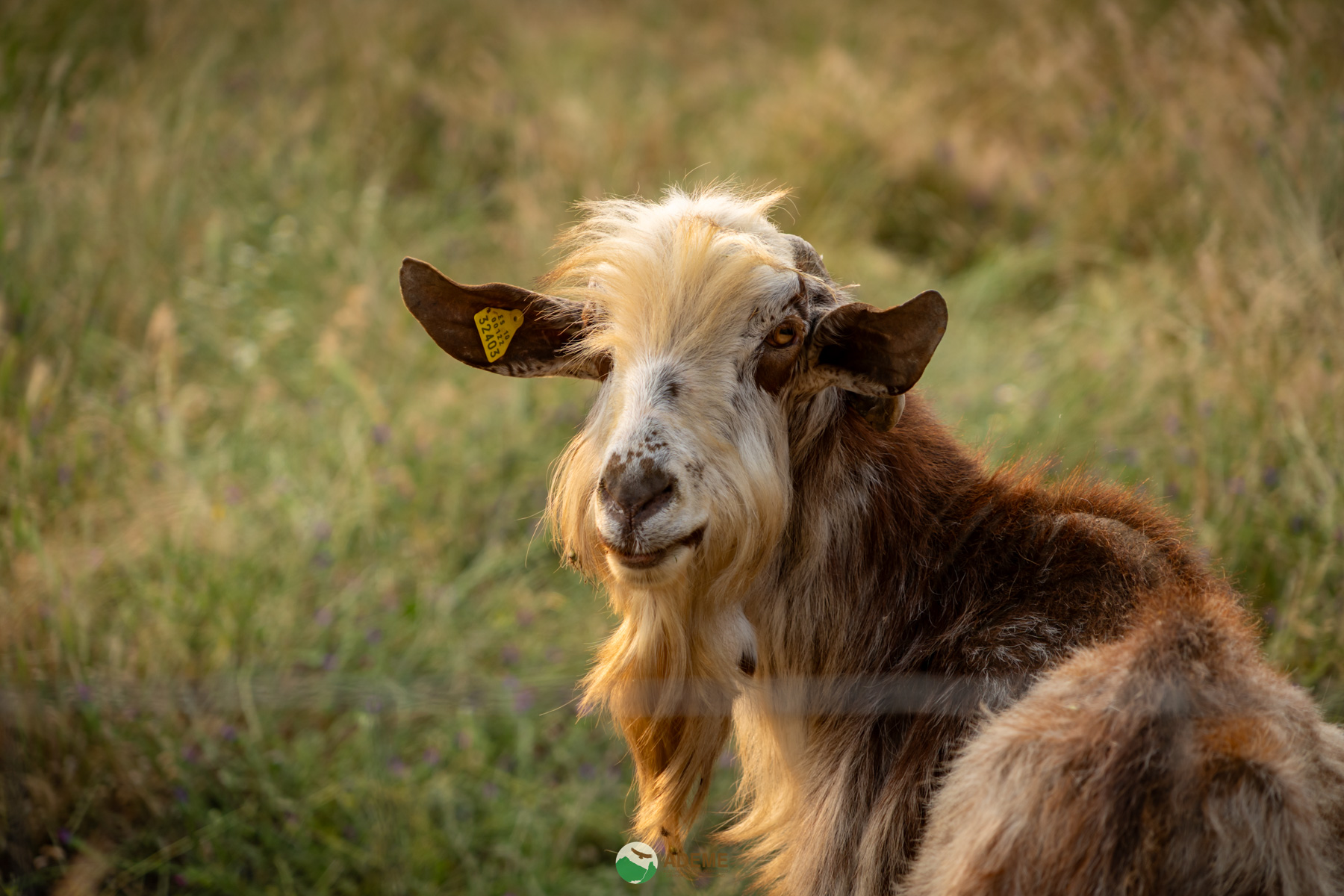 Naturaleza y Turismo de Estrellas