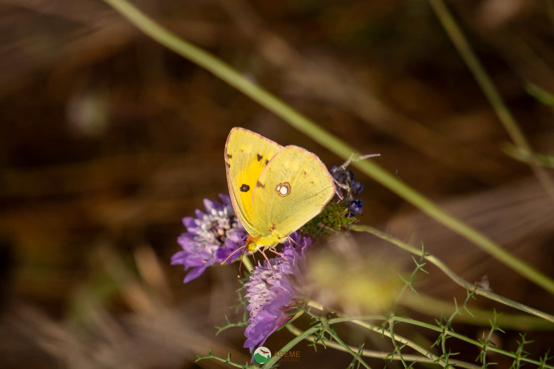 Naturaleza y Turismo de Estrellas