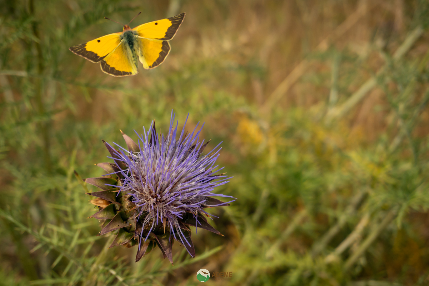 Naturaleza y Turismo de Estrellas
