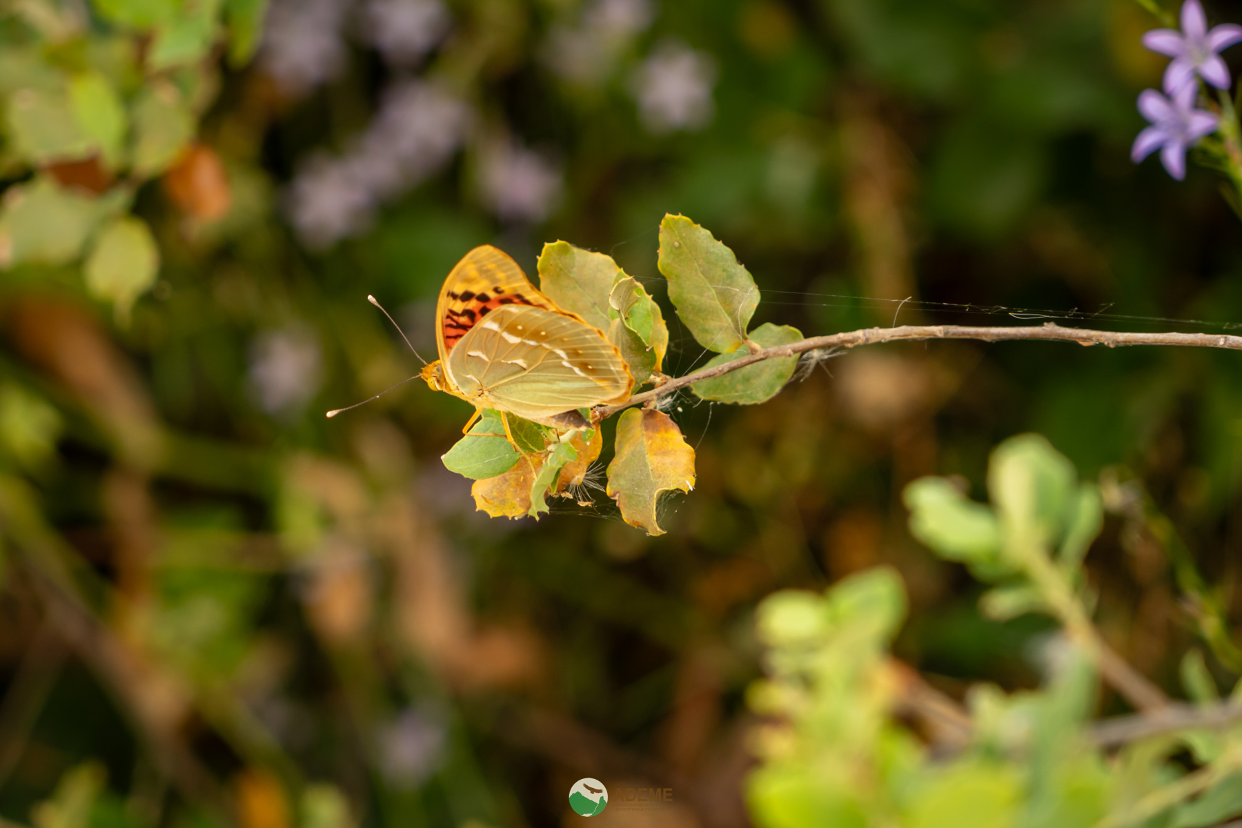 Naturaleza y Turismo de Estrellas