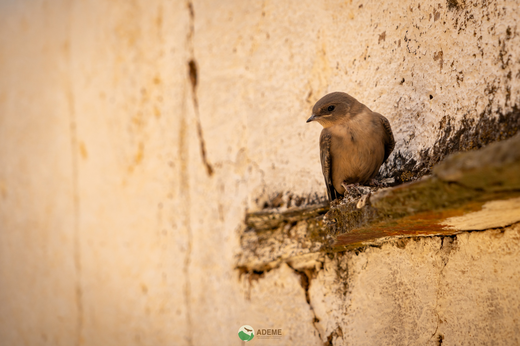 Naturaleza y Turismo de Estrellas