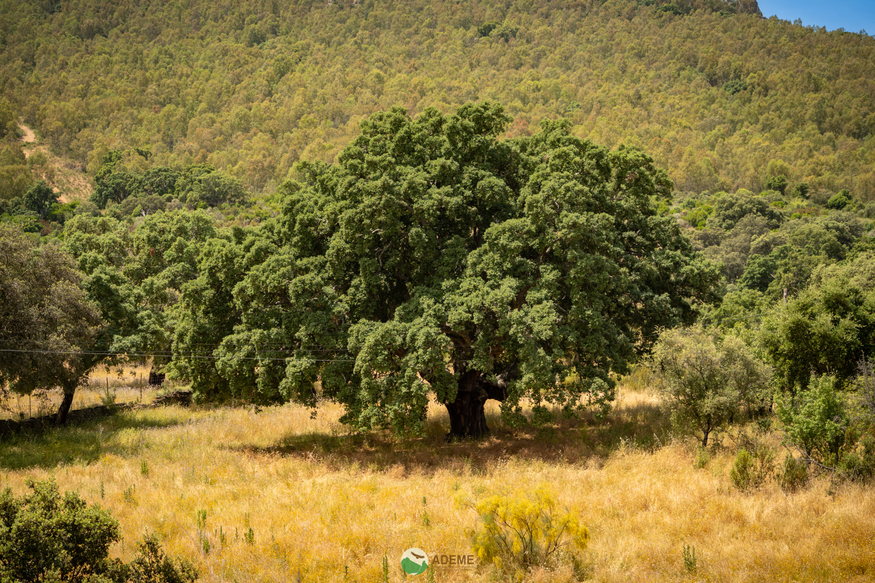 Naturaleza y Turismo de Estrellas