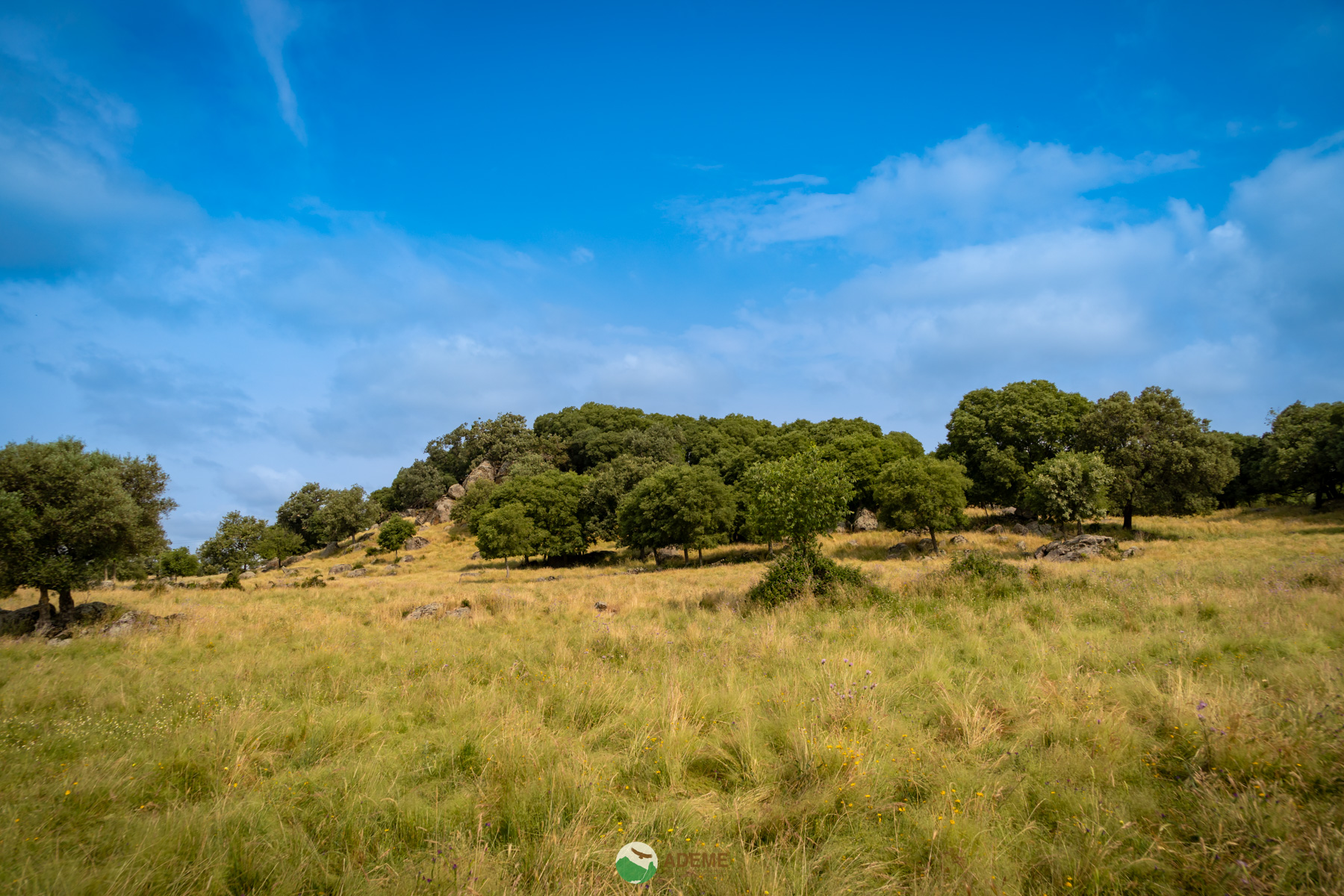 Naturaleza y Turismo de Estrellas